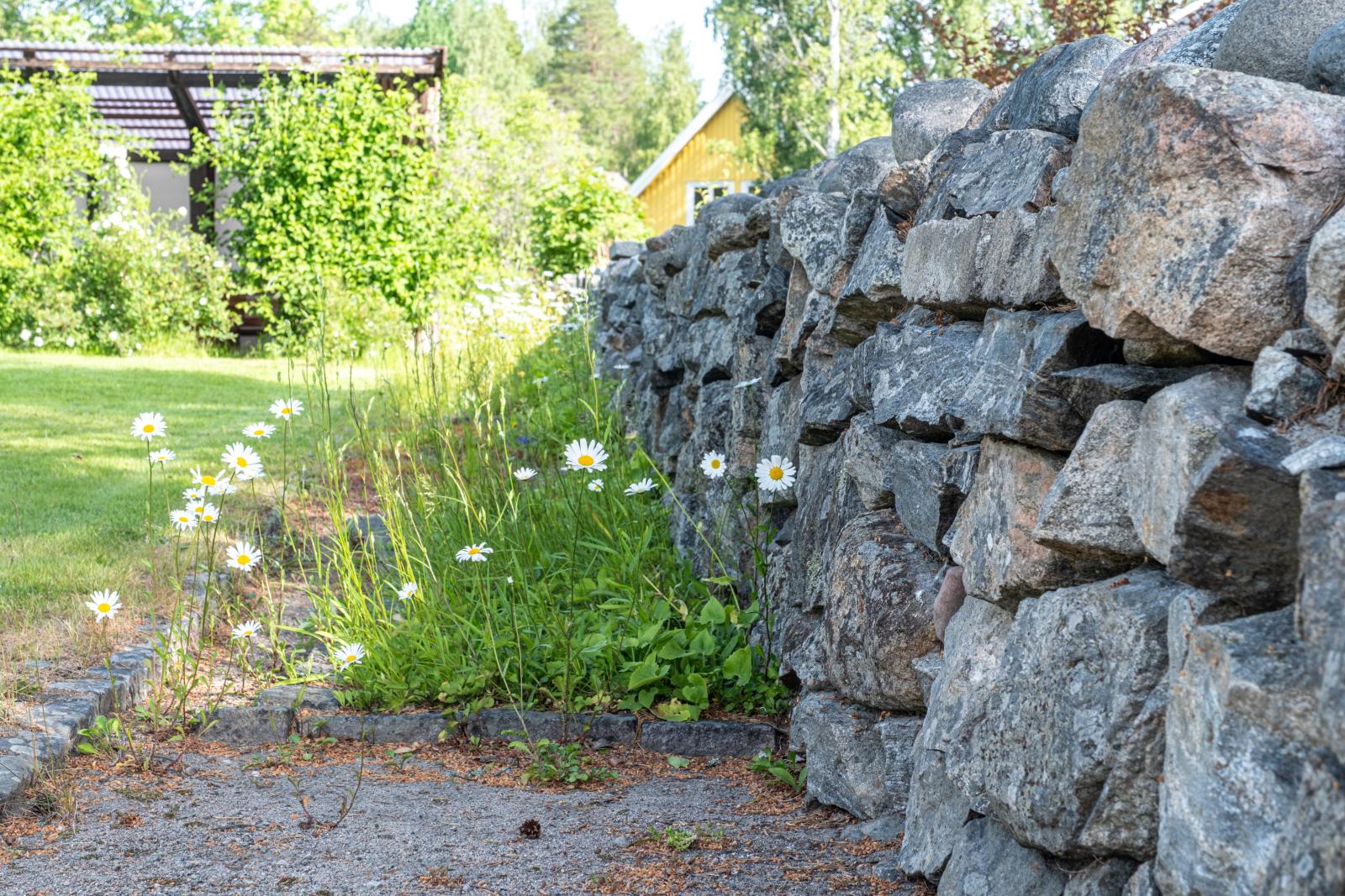 I trädgården
