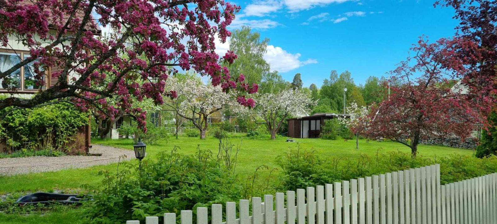 Säljarens egna bilder