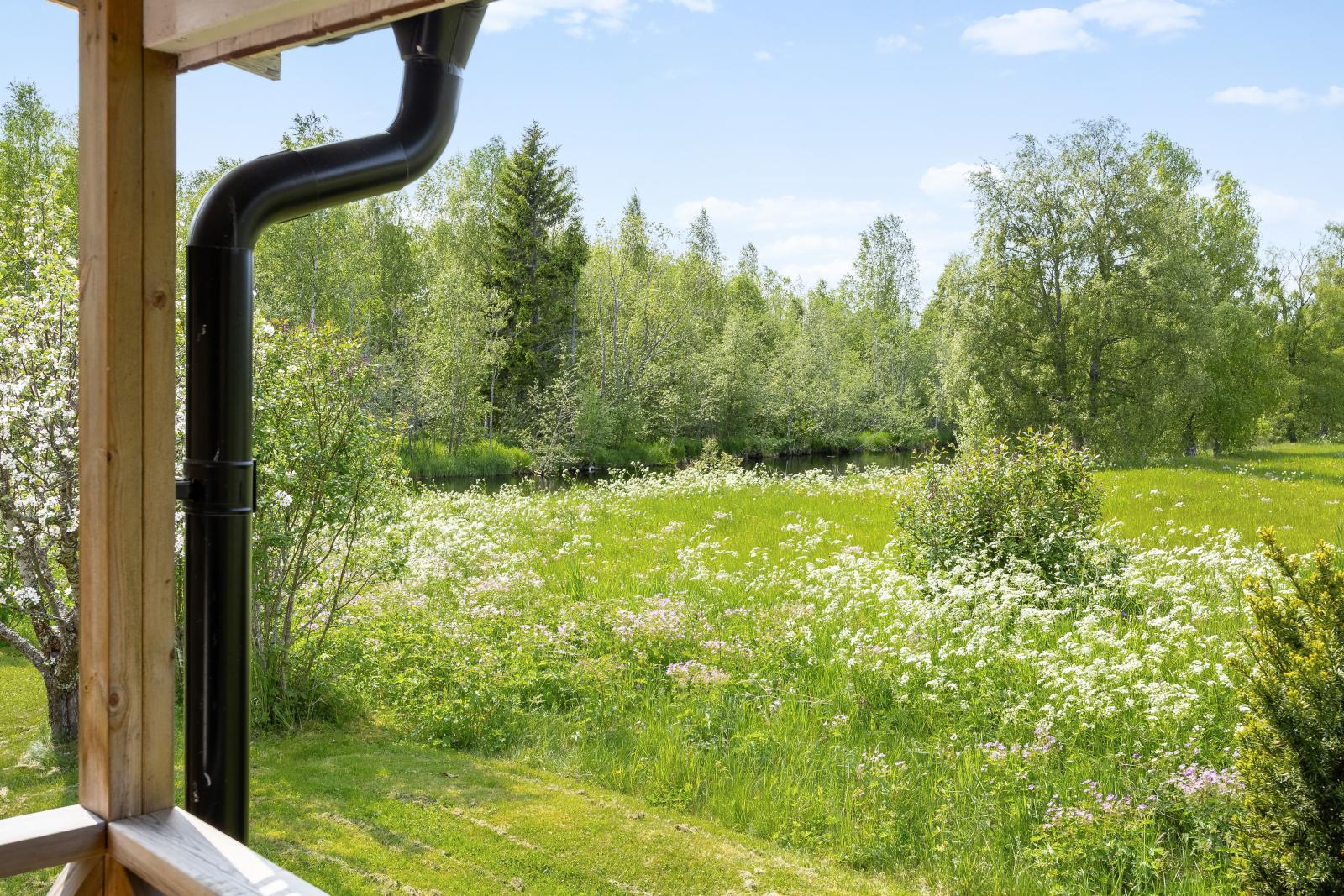 Utsikt  över egen åkermark