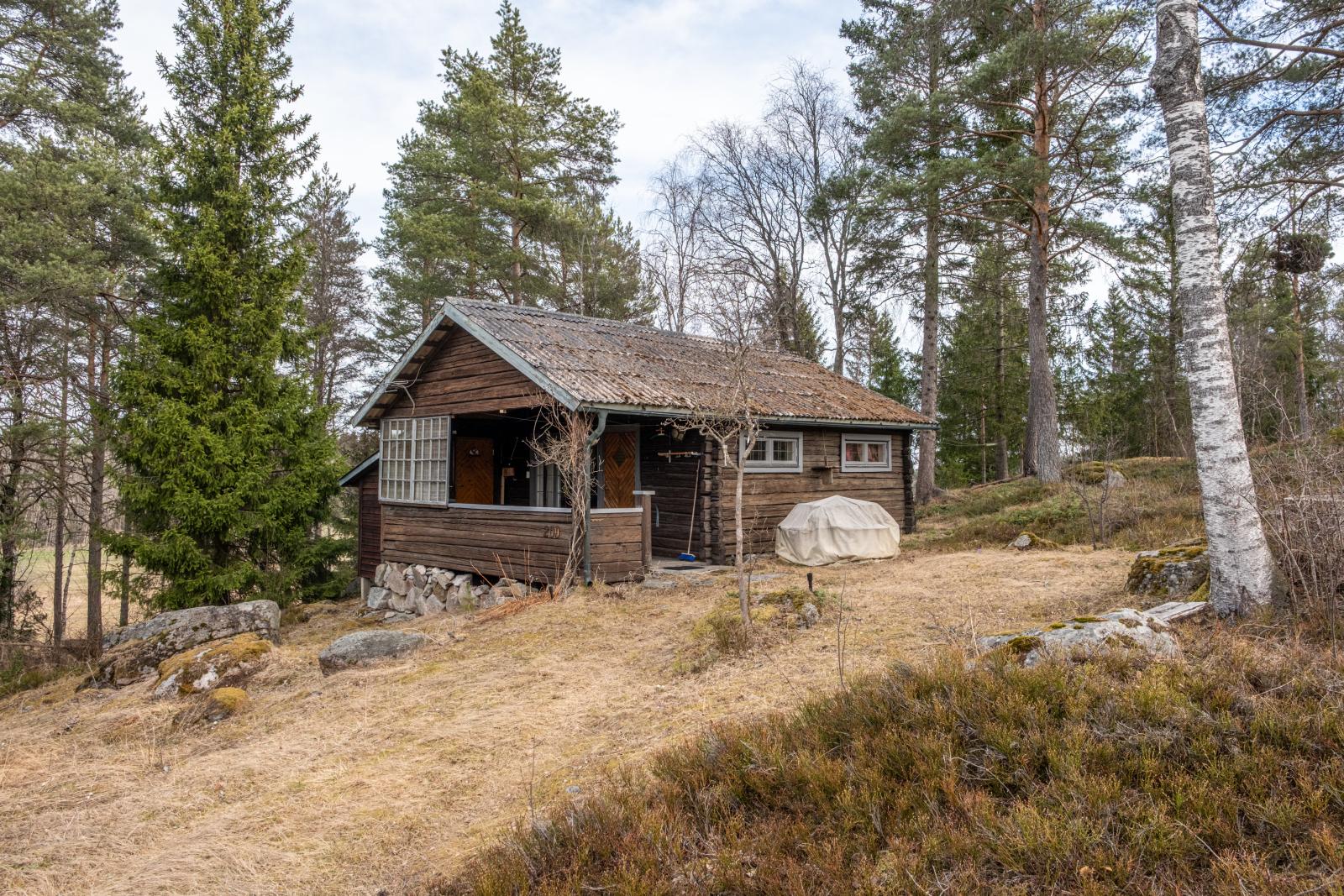 Exteriör