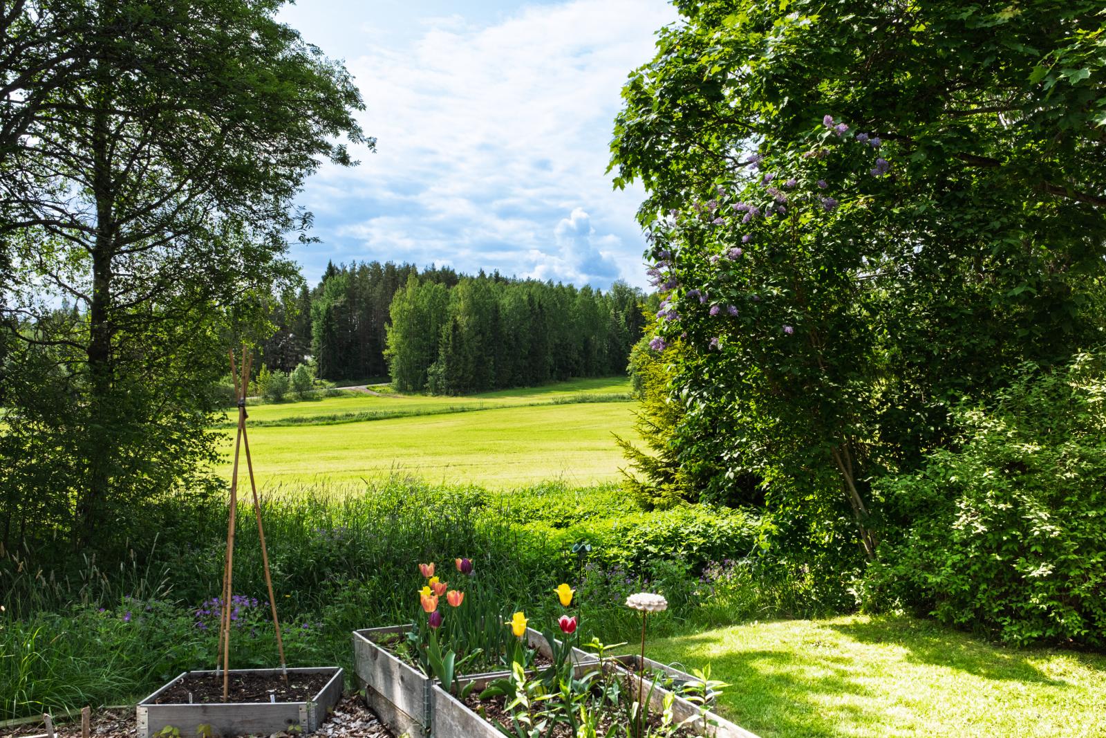 Fin trädgårdstomt omgiven av åker och skog