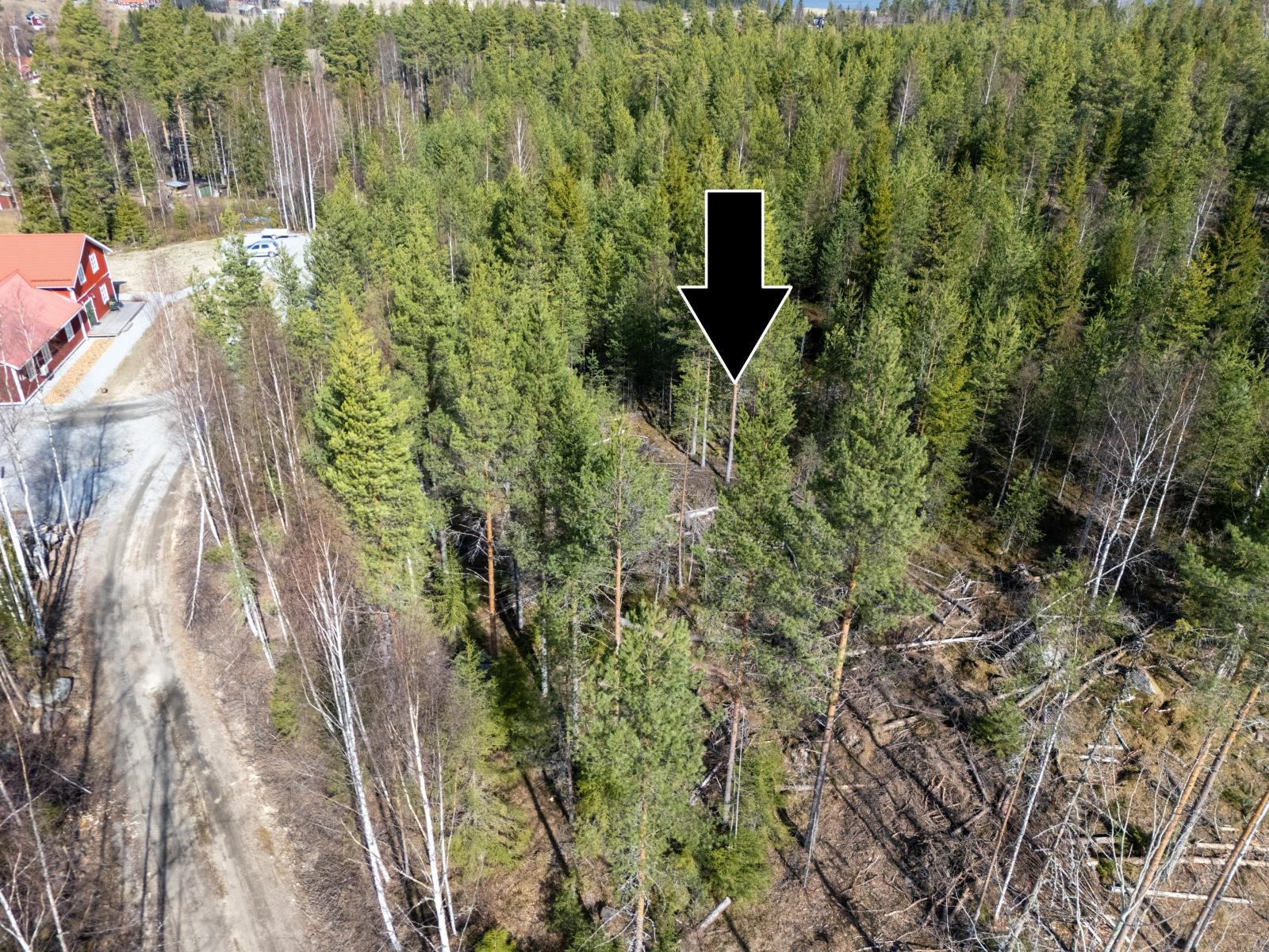 Välkommen till Skridsvik Granvägen 7