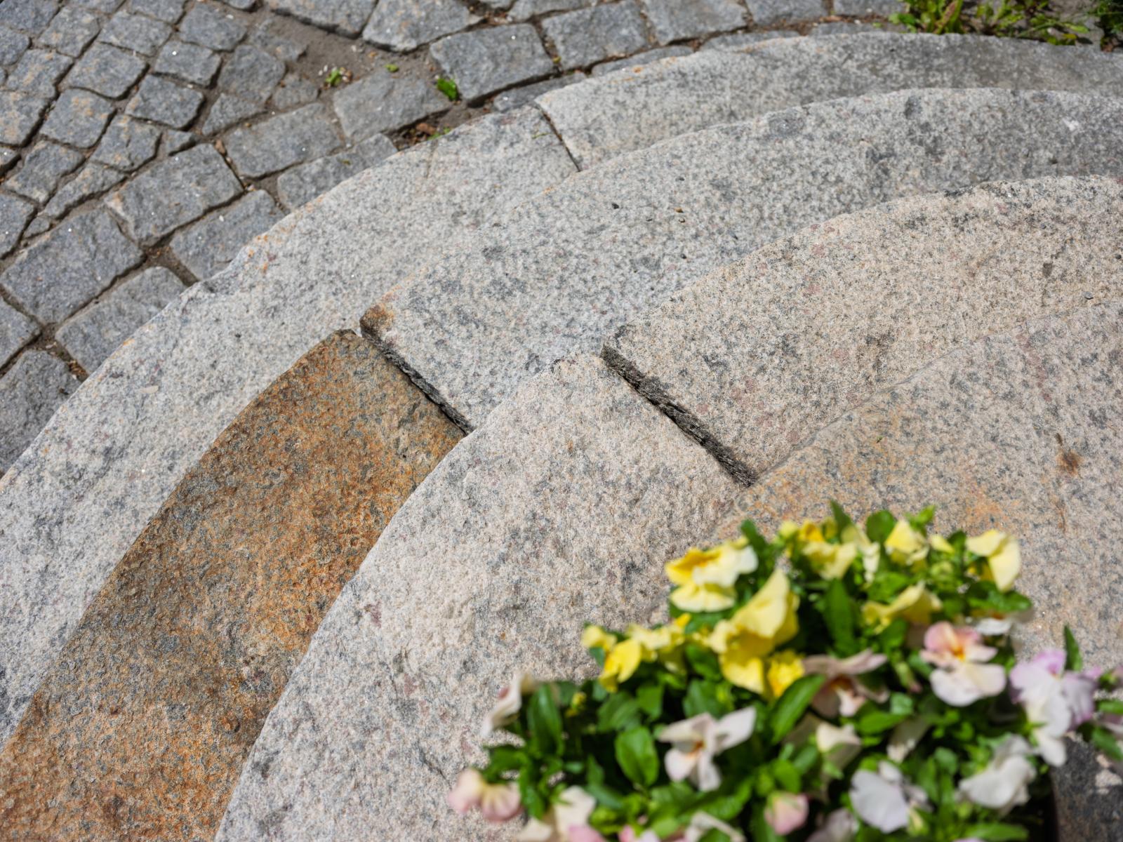 Detalj i parken
