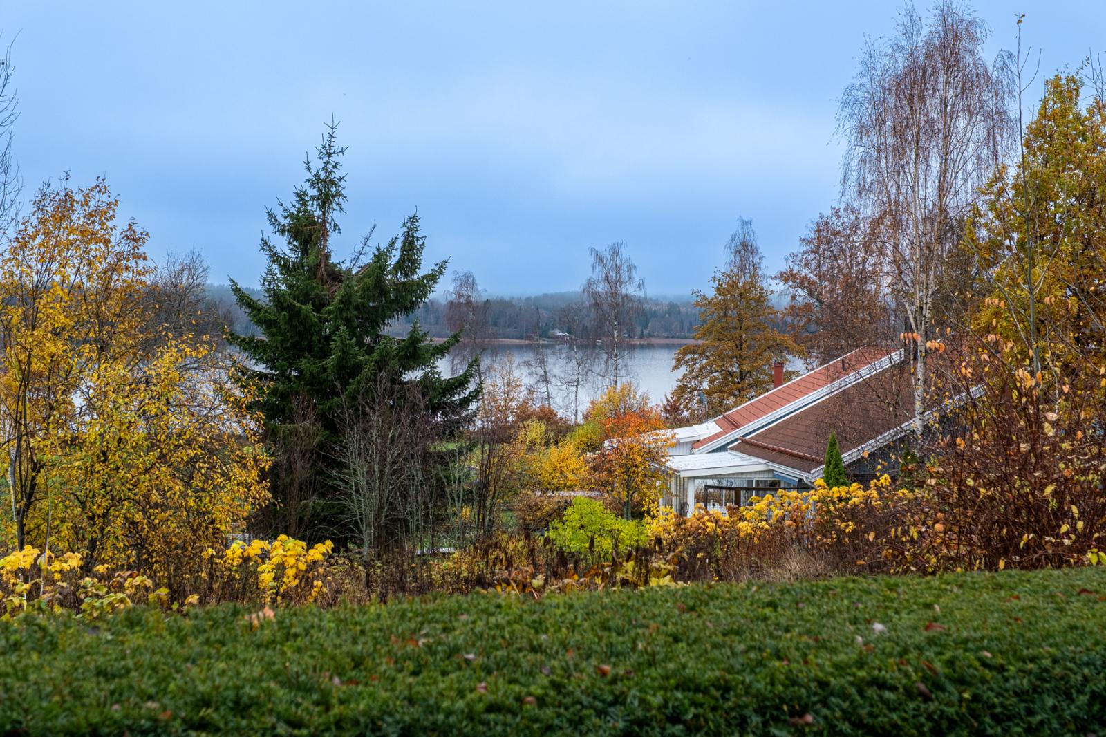Utsikt mot sjön