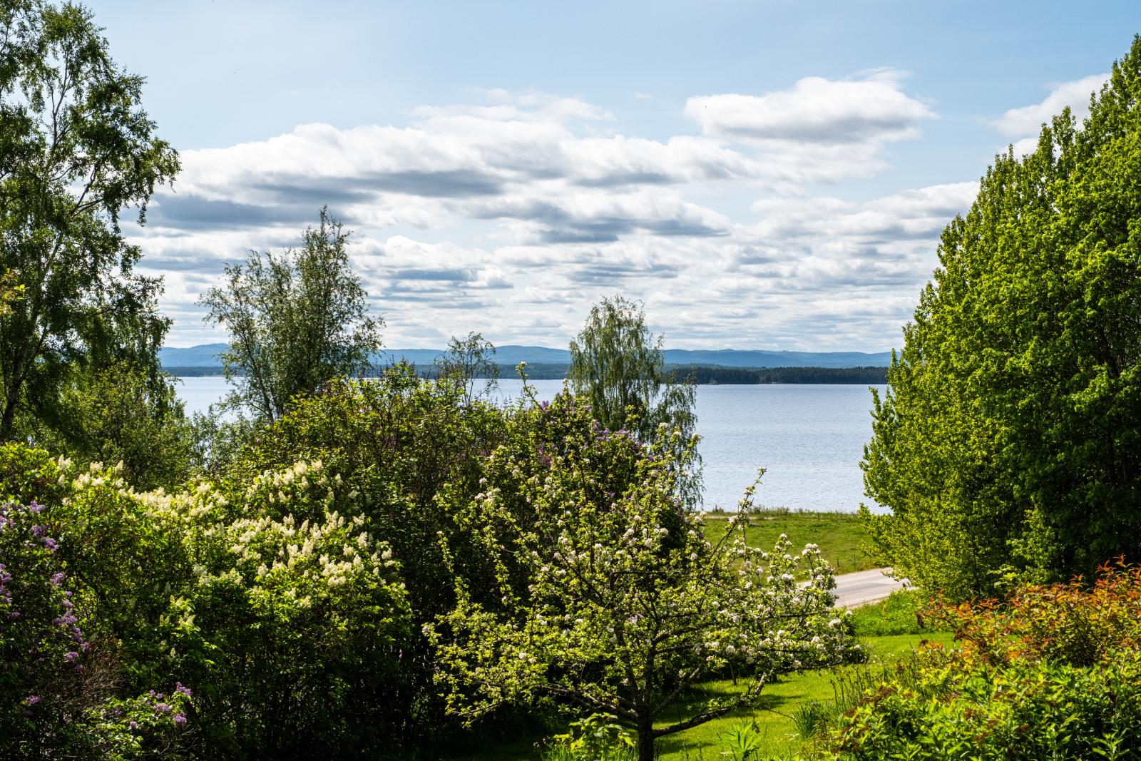 Område