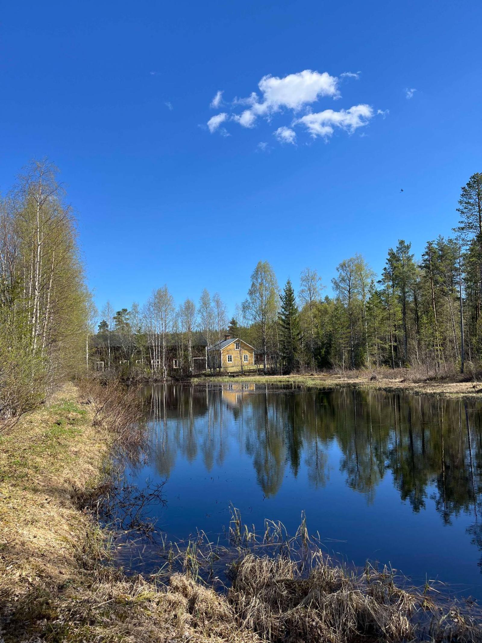 (Säljarens bilder)