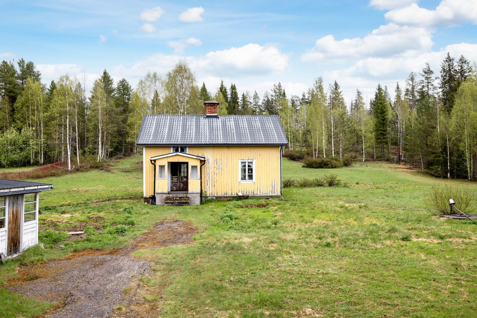 Exteriör