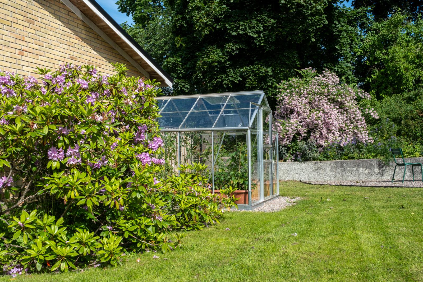 Trädgård