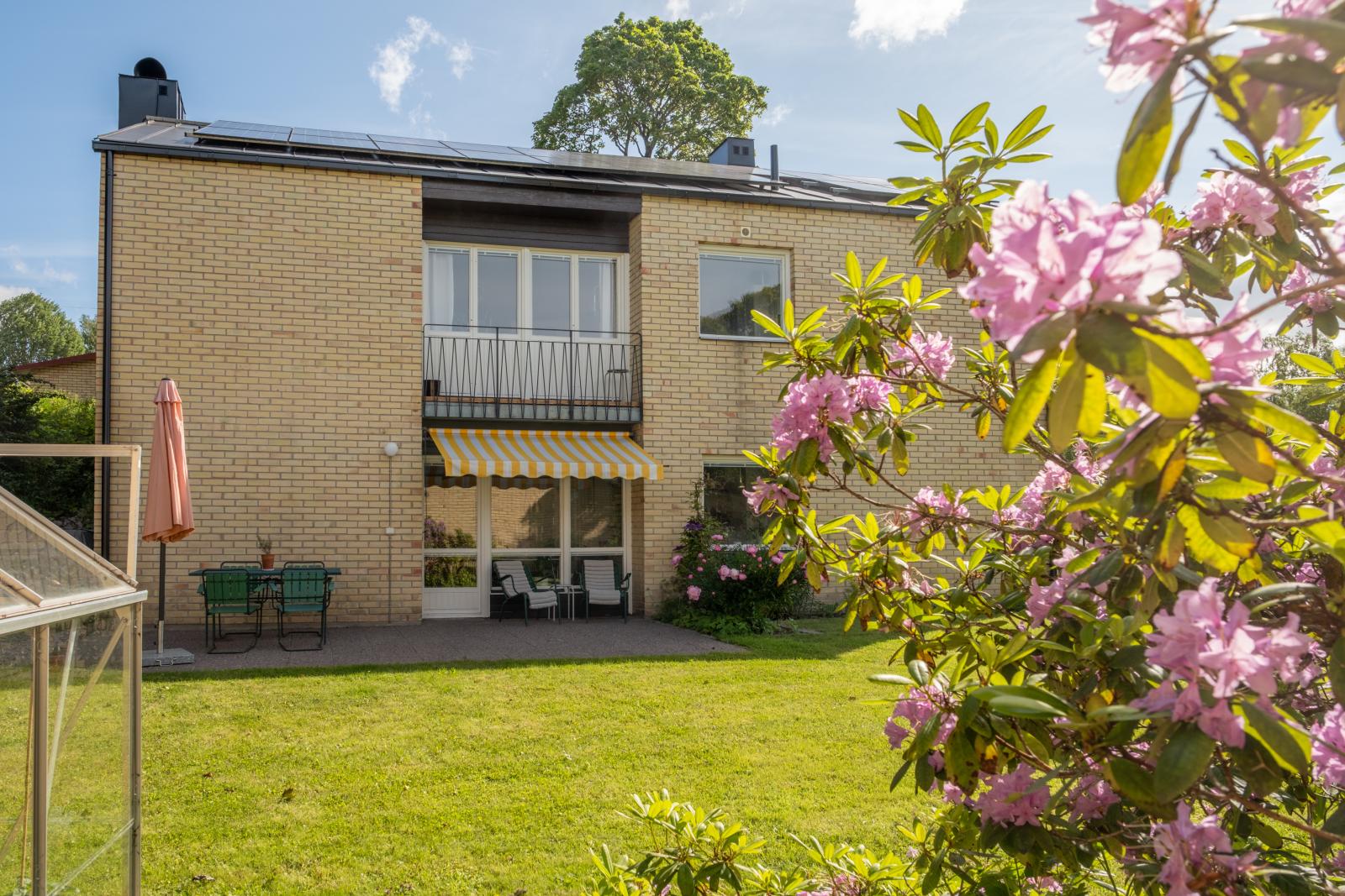 Trädgård