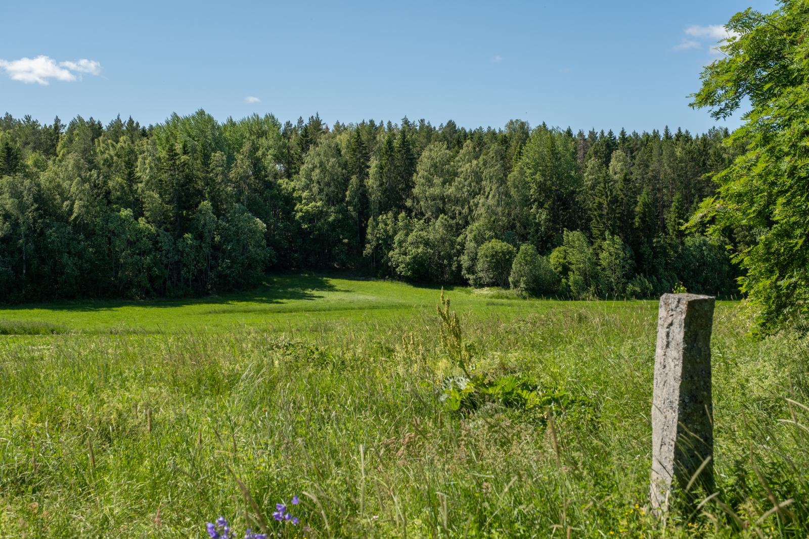 Utsikt