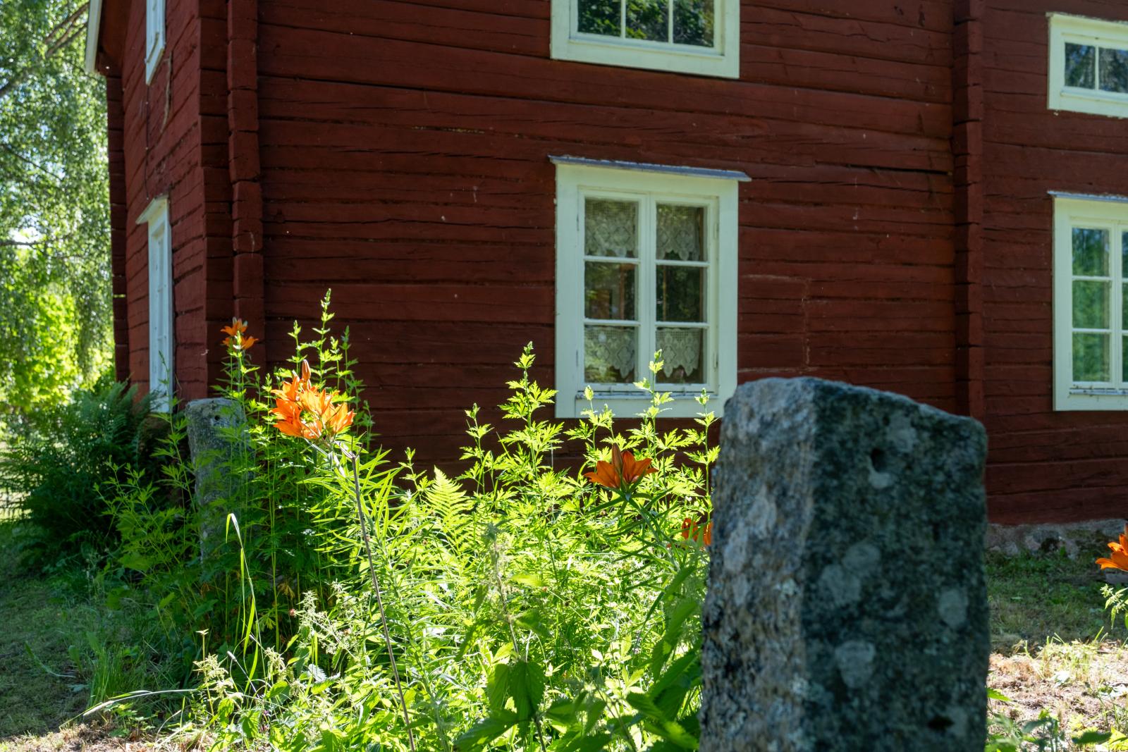 Exteriör