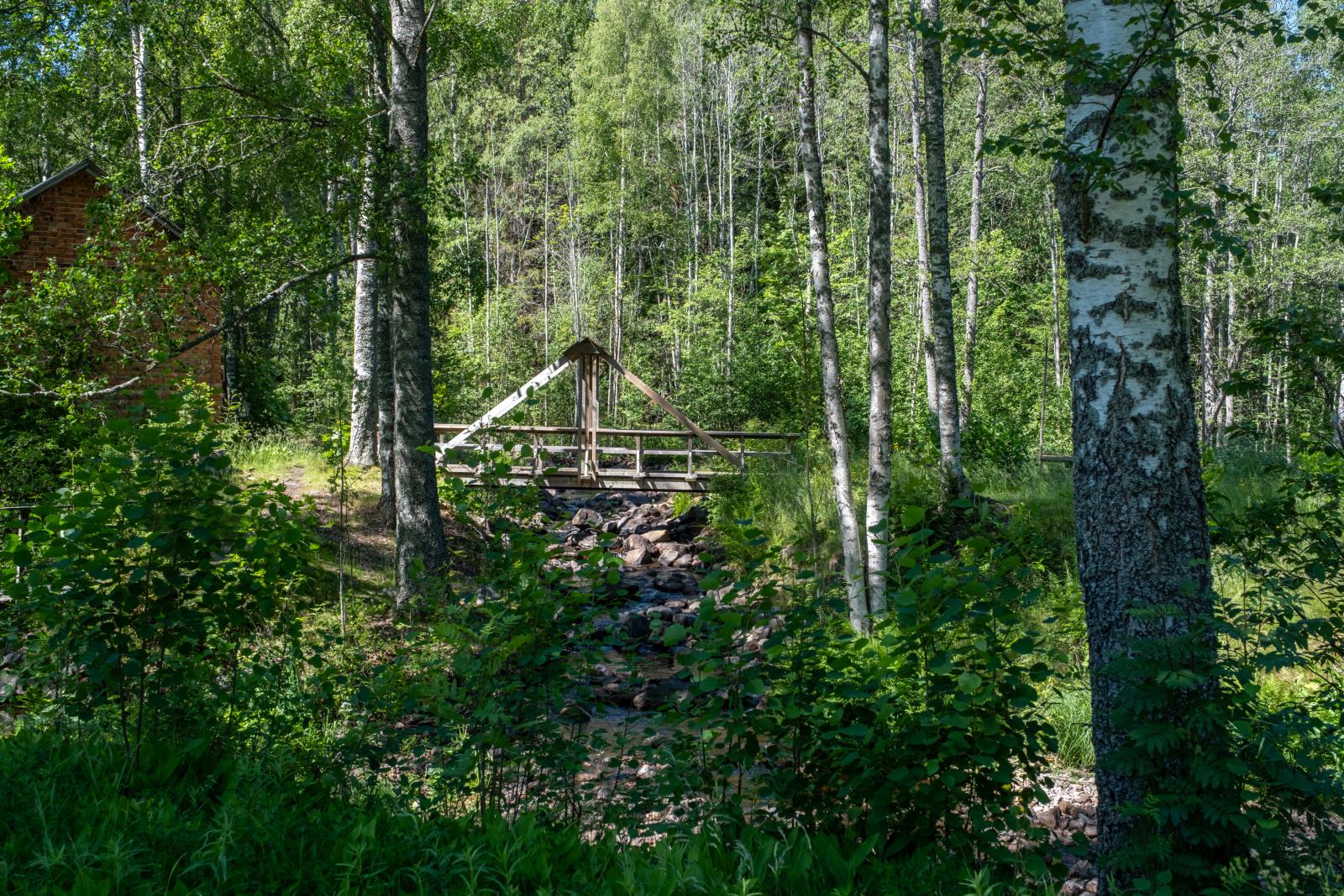 I området