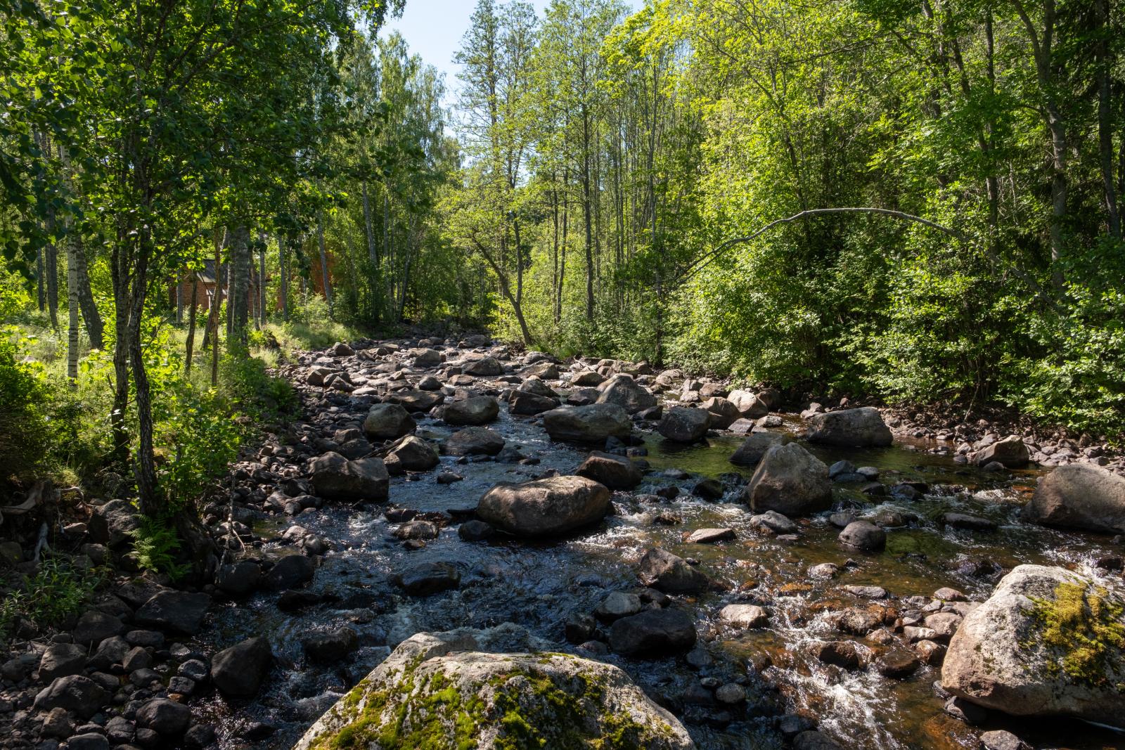 I området