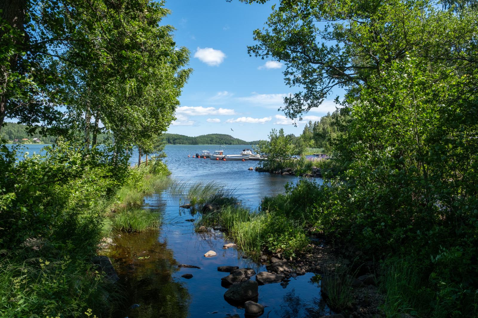 I området