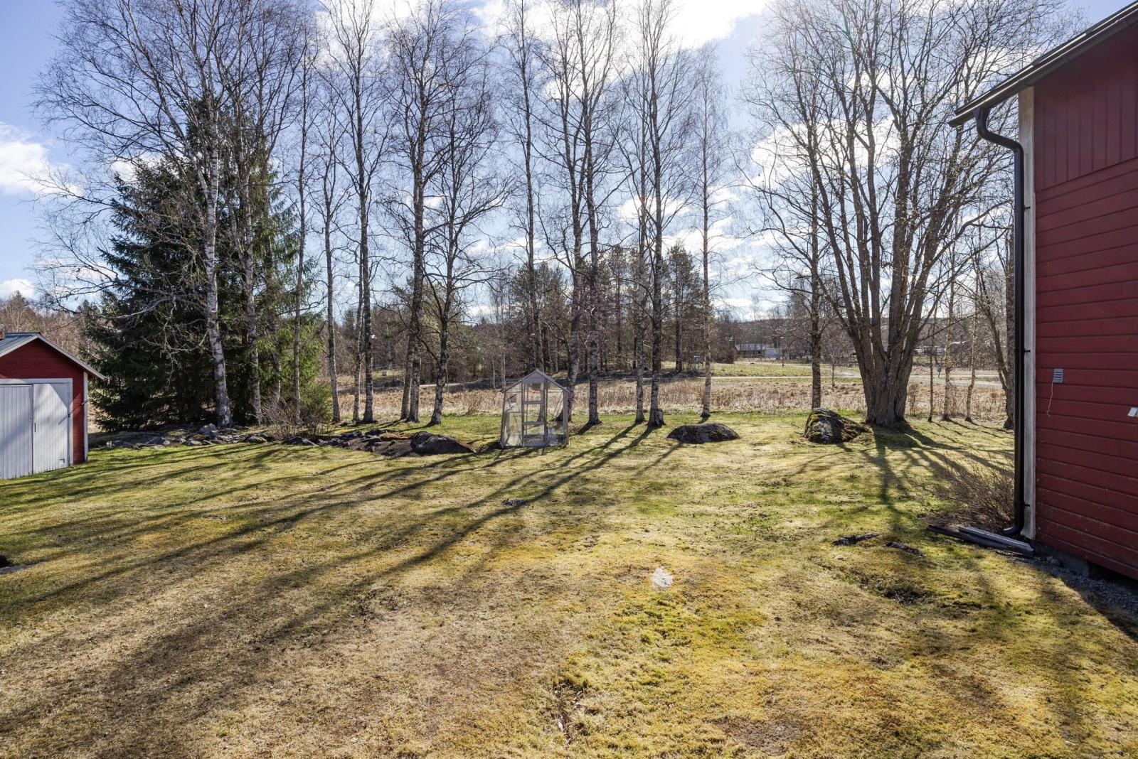 Trädgården