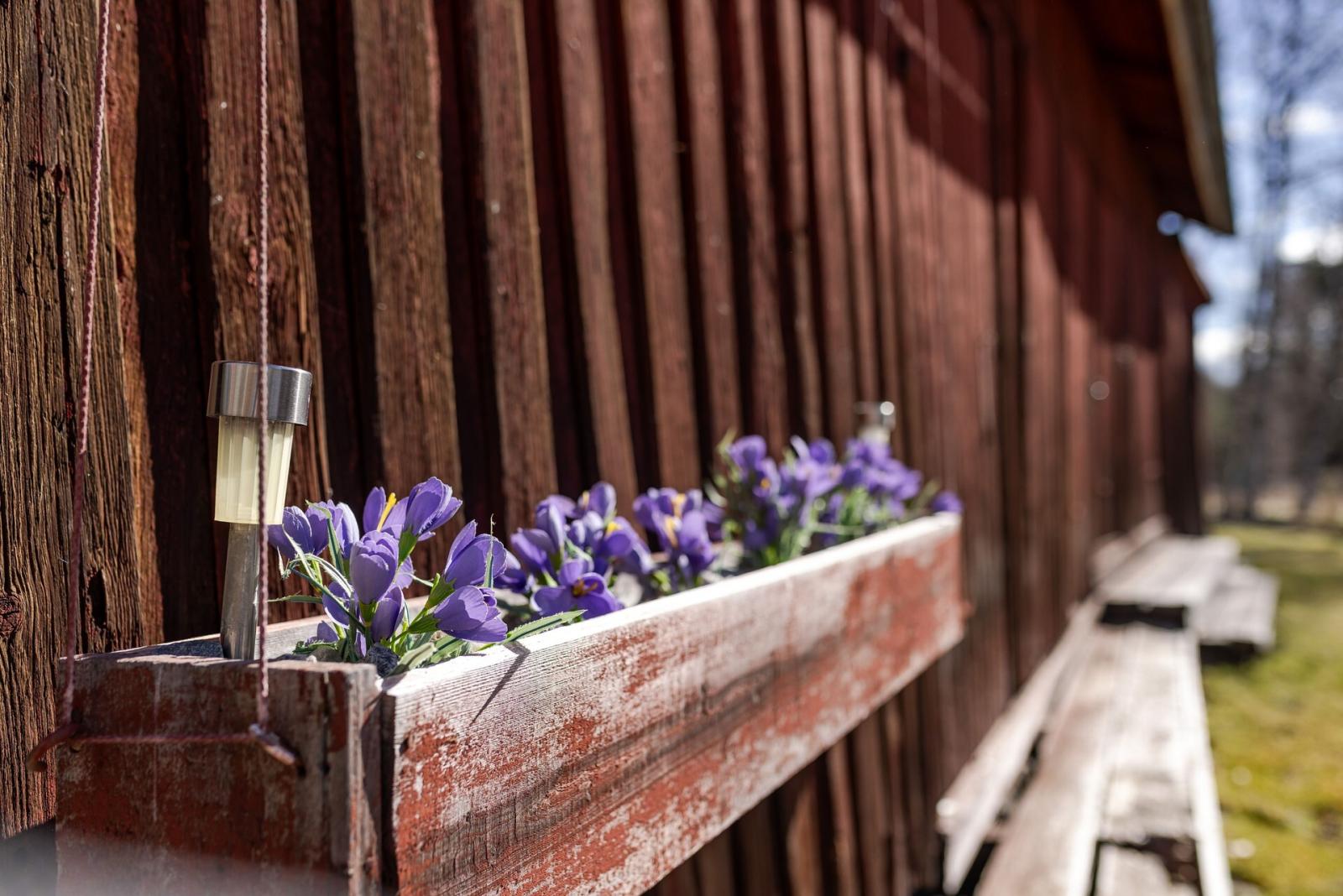 Detaljbild