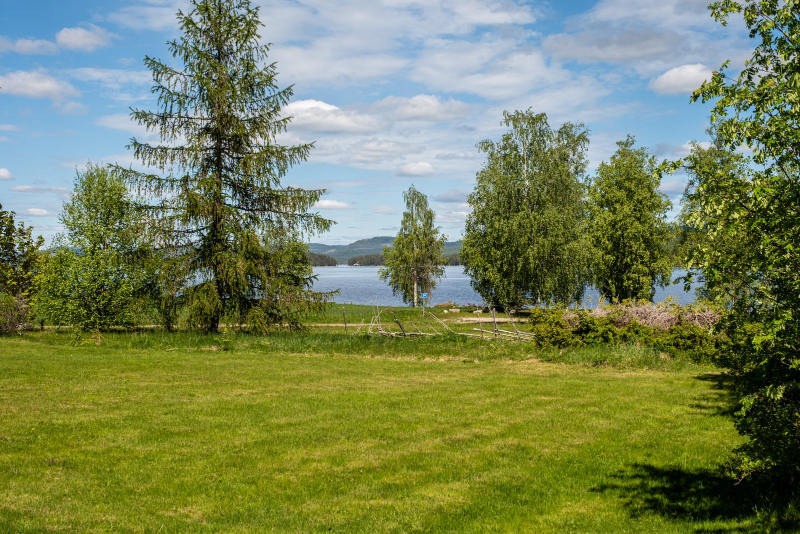 Utsikt från tomten