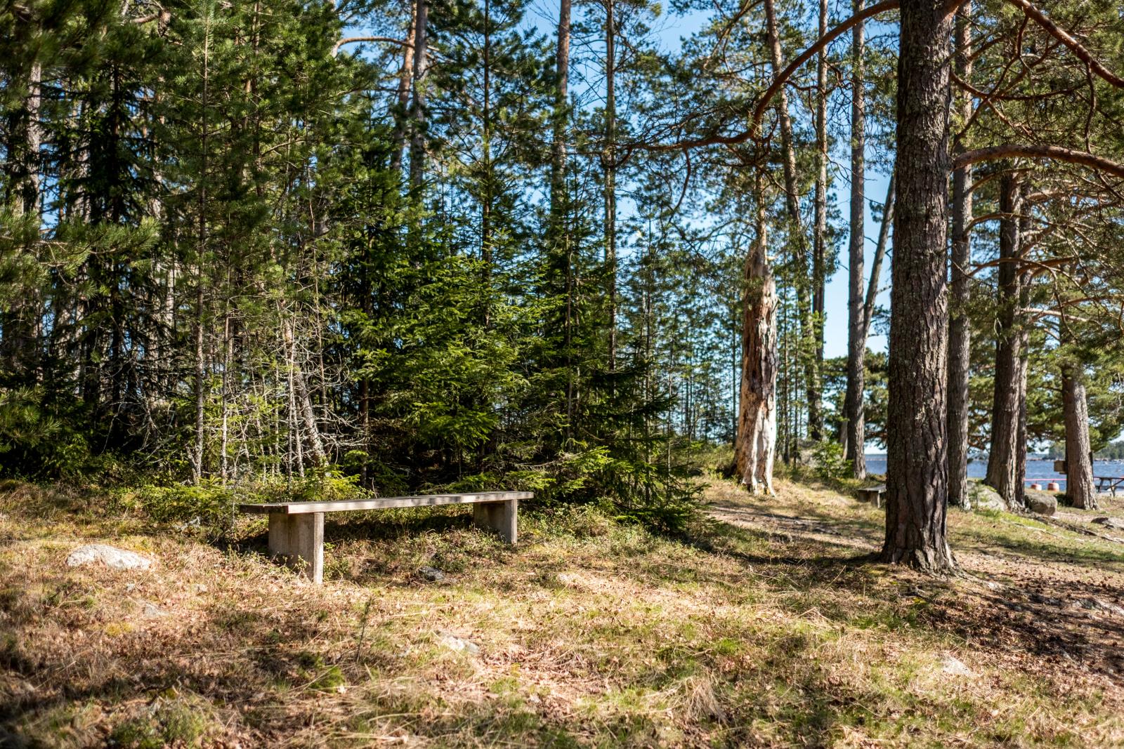 I området