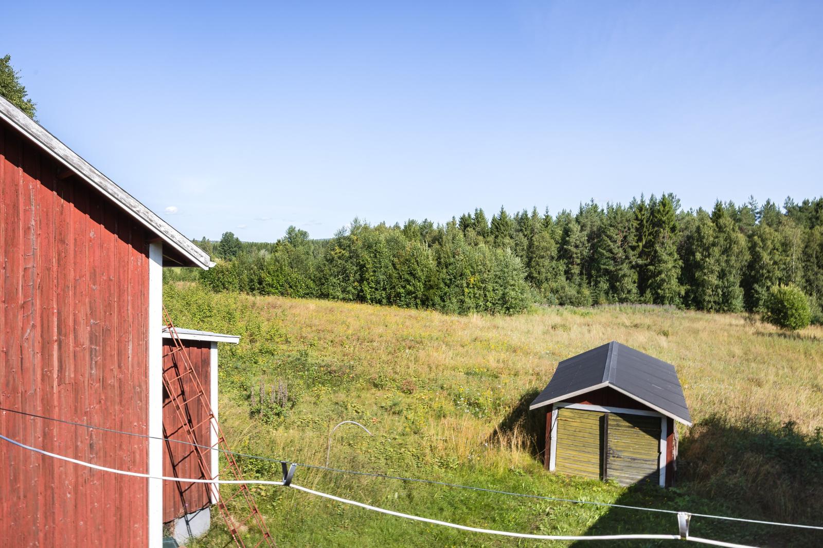 Åkermark bakom huset