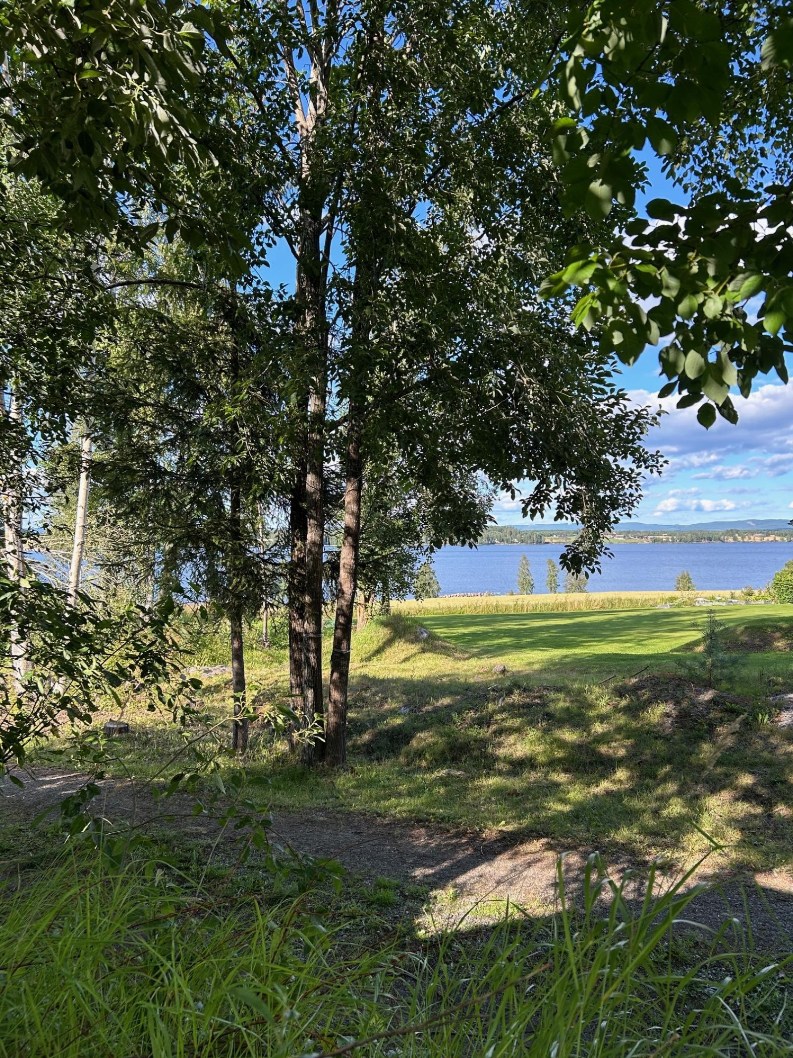 Södra Dellen