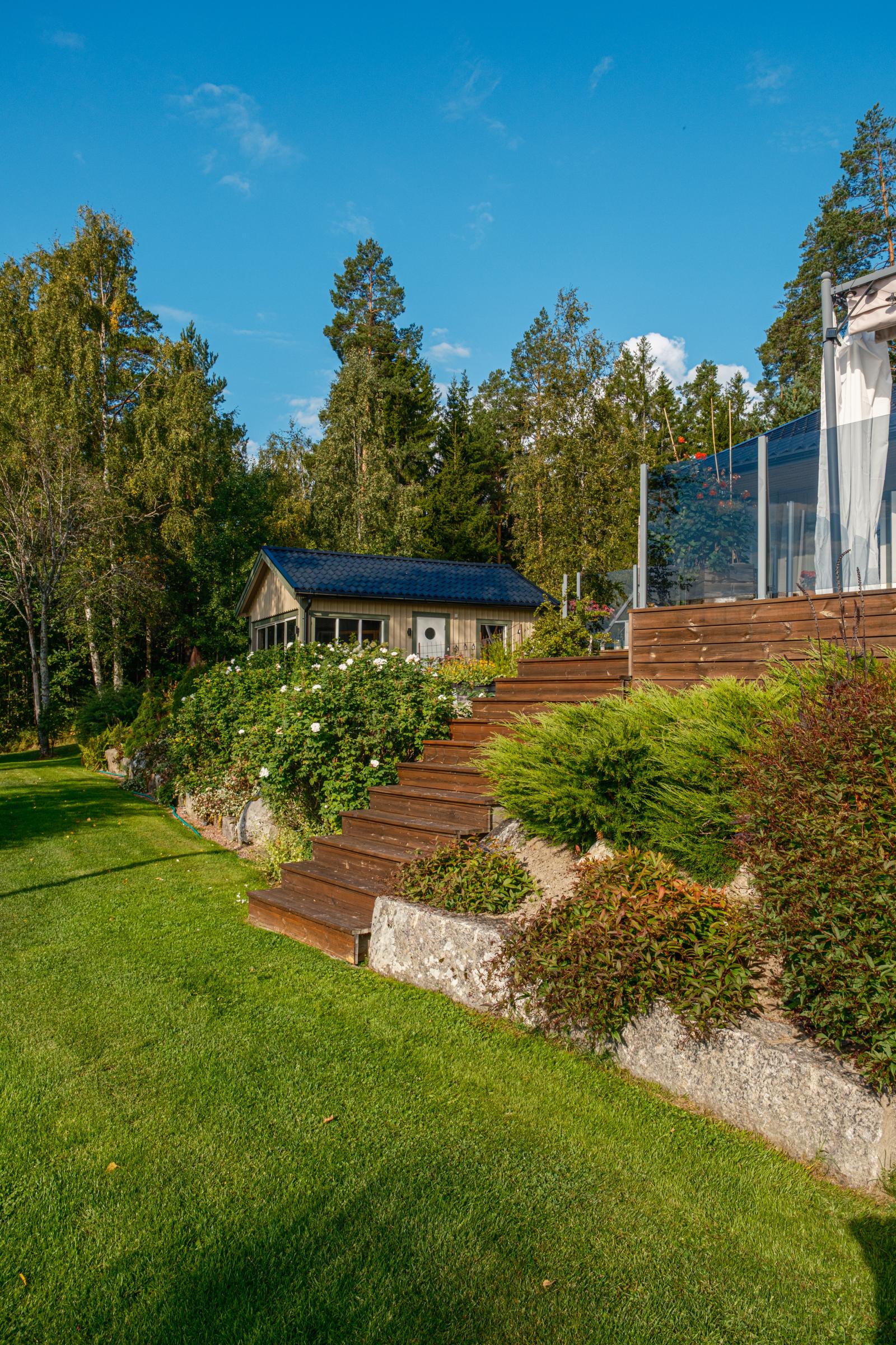 Trädgård