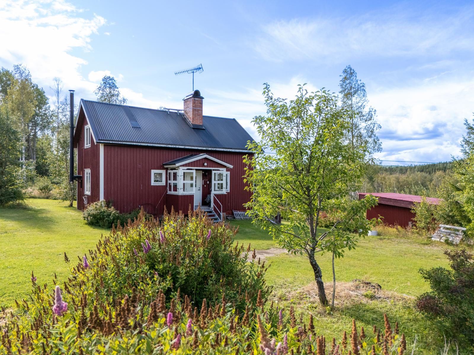 Litet rött hus omgiven av skog och natur