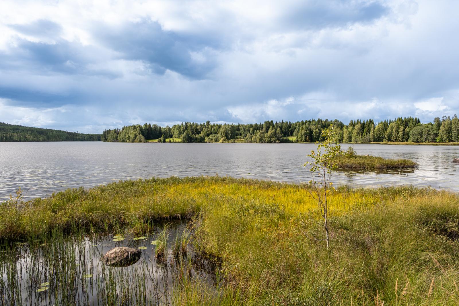 Bra sjöar  fiske i närheten
