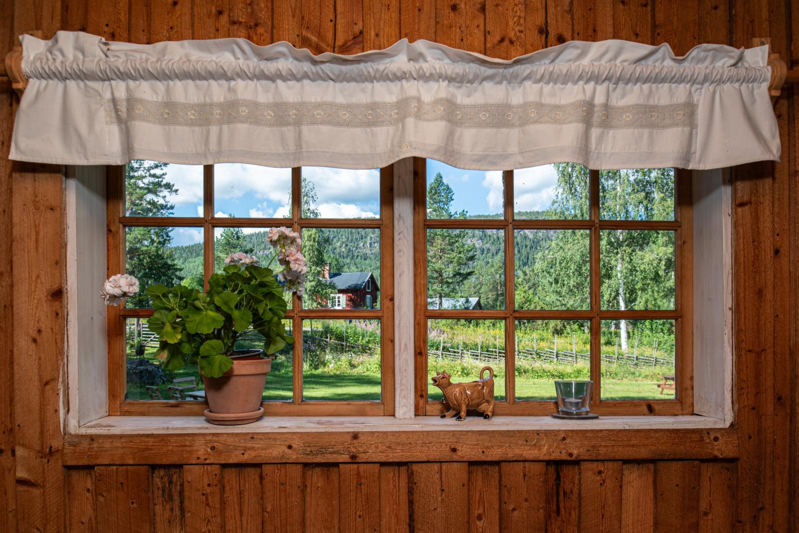 Lugnet ute och inne