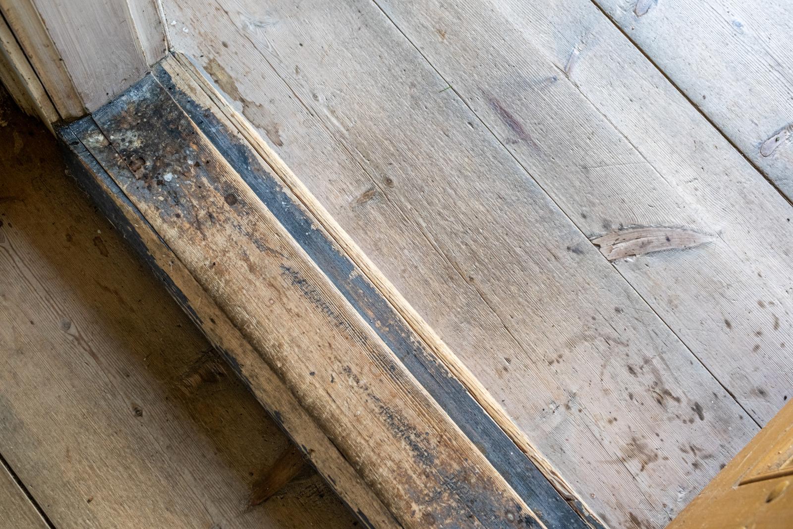 Många som trampat över tröskeln till detta hus