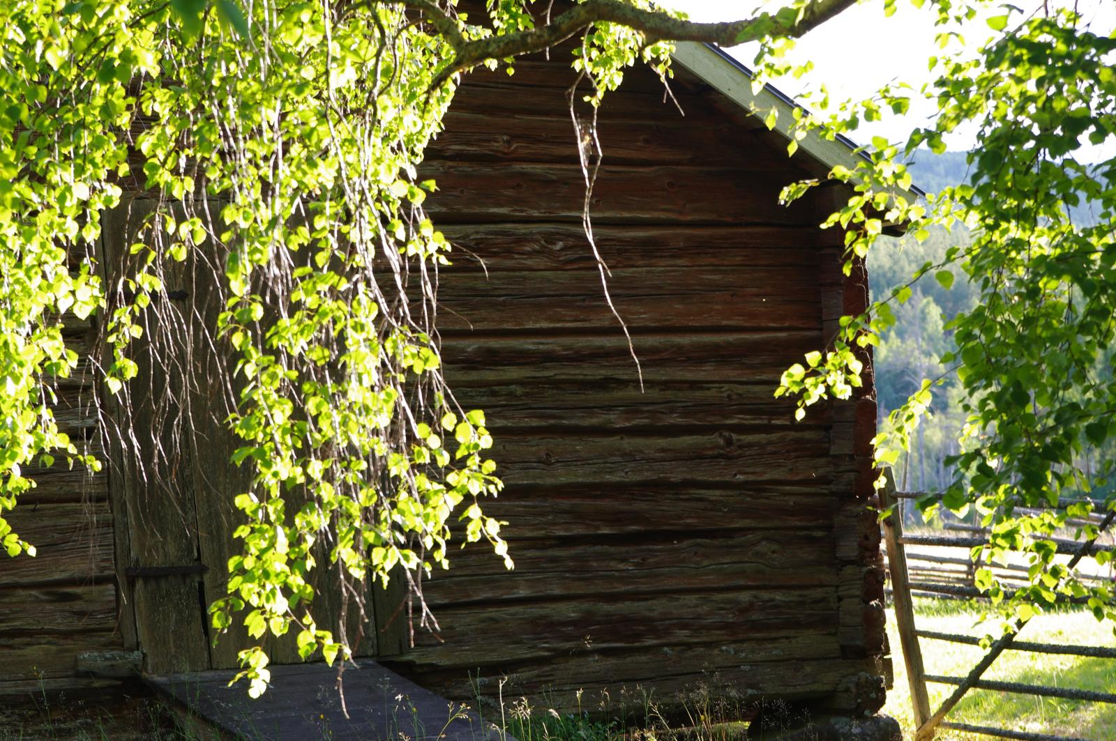 Säljarens egna bilder