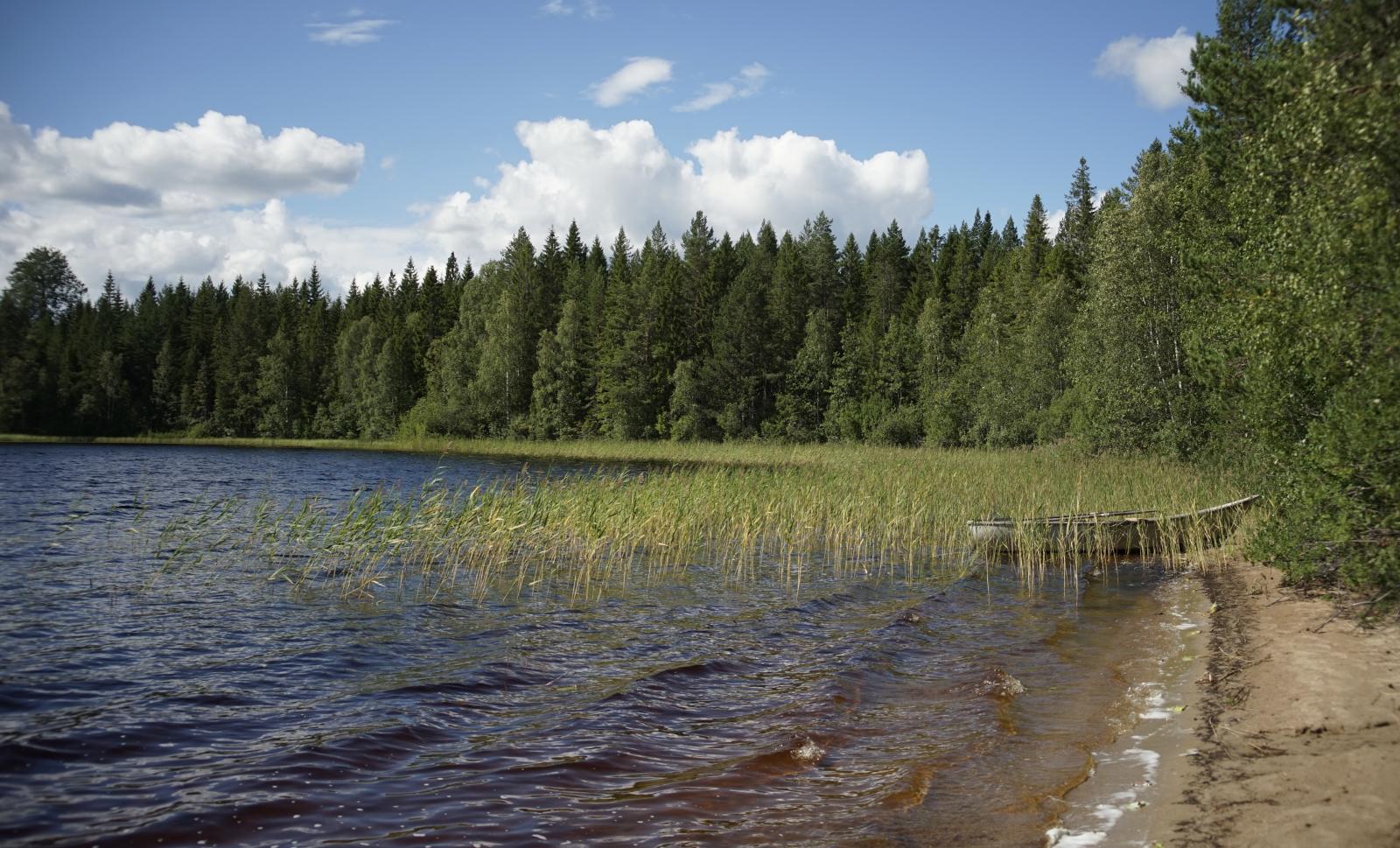 Badplats vid Fuskåssjön