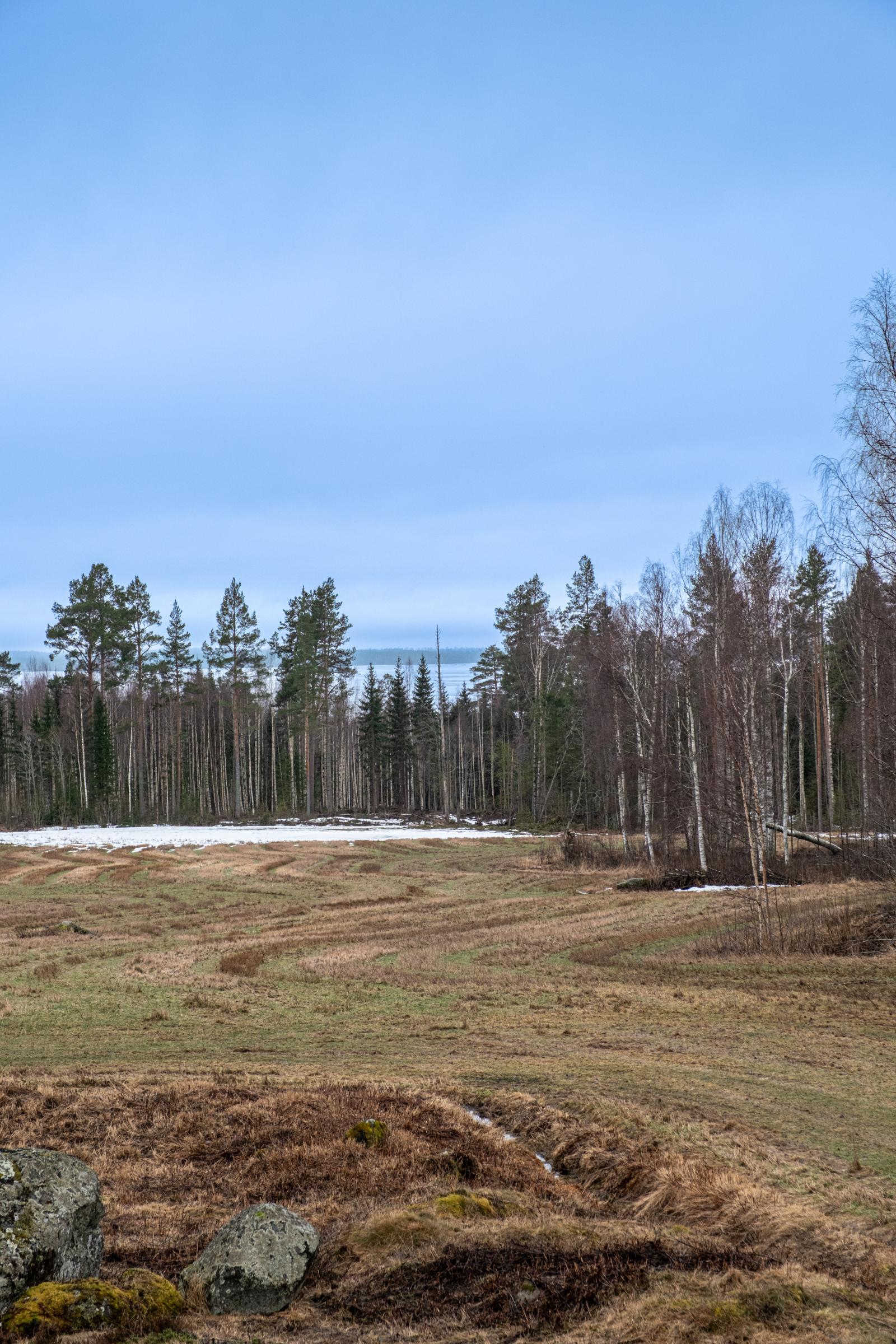 Utsikten över åkrarna och mot Dellen