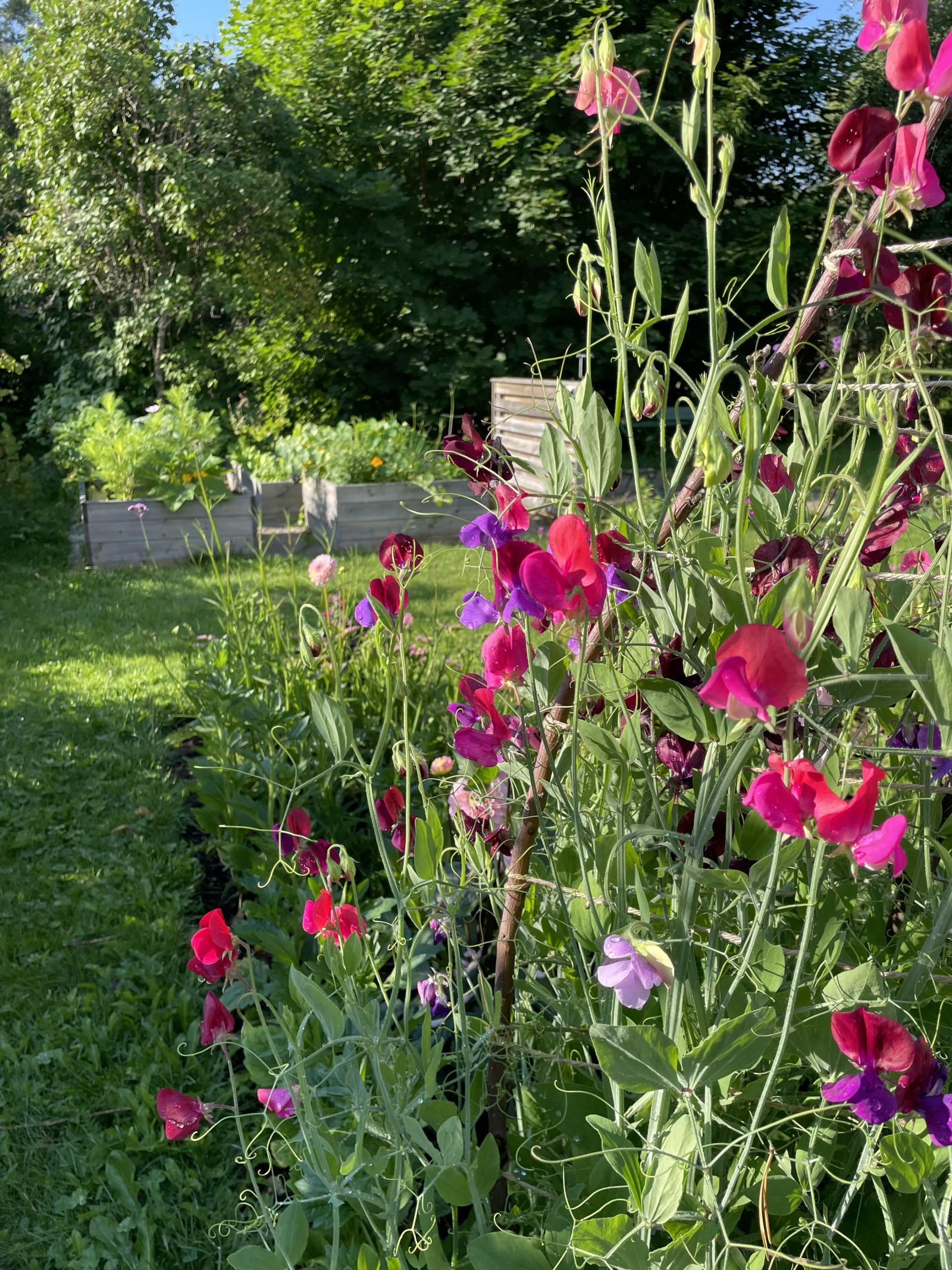 Detaljbild (säljarens bild)