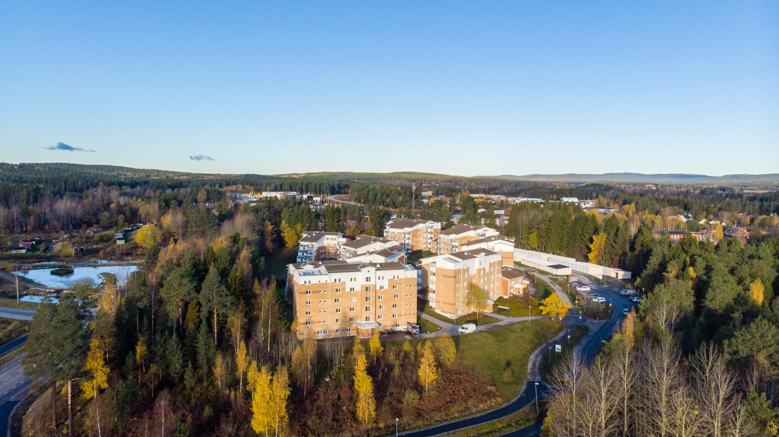 Välkommen till Sofiedal