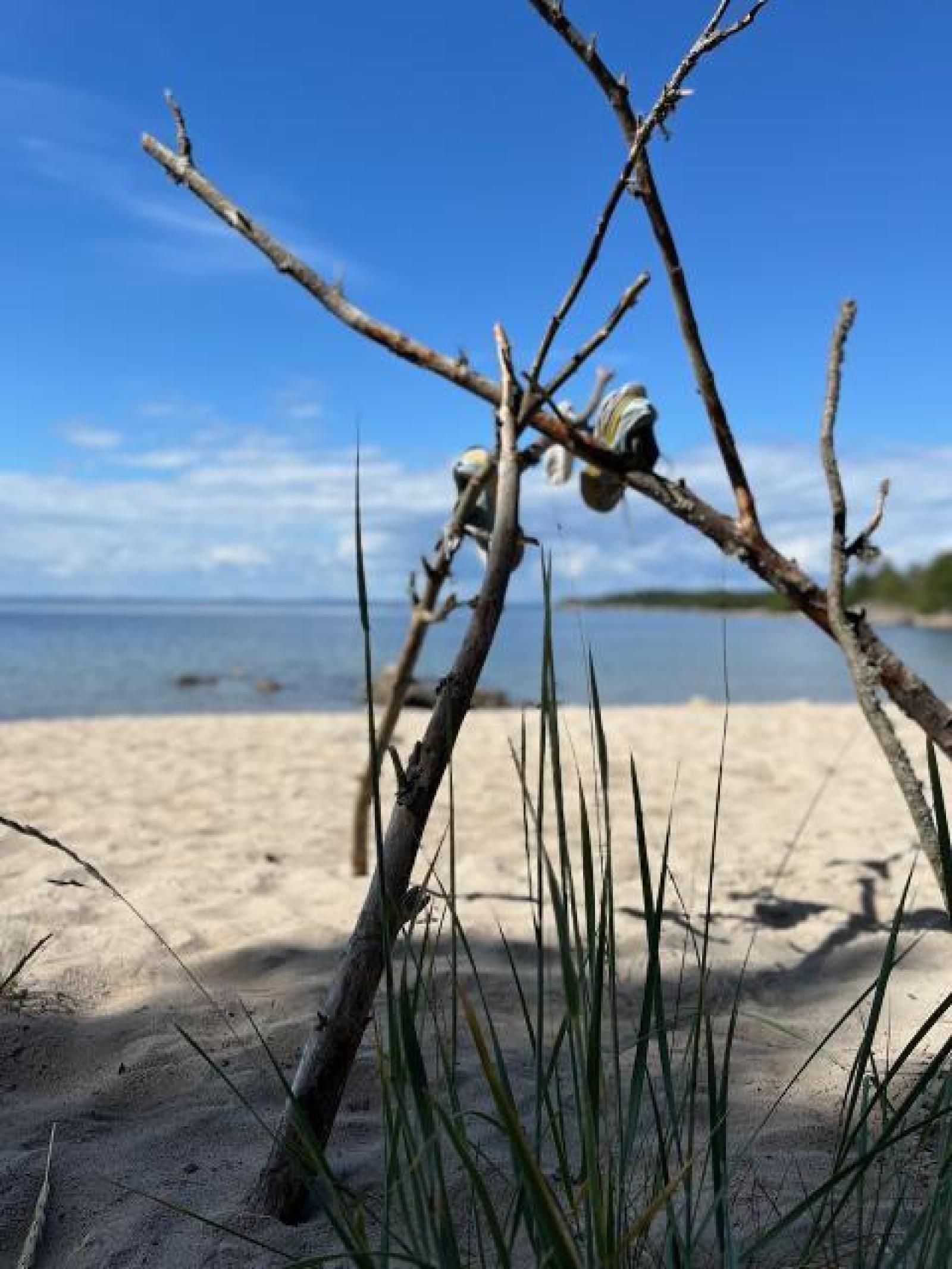 Stranden i området