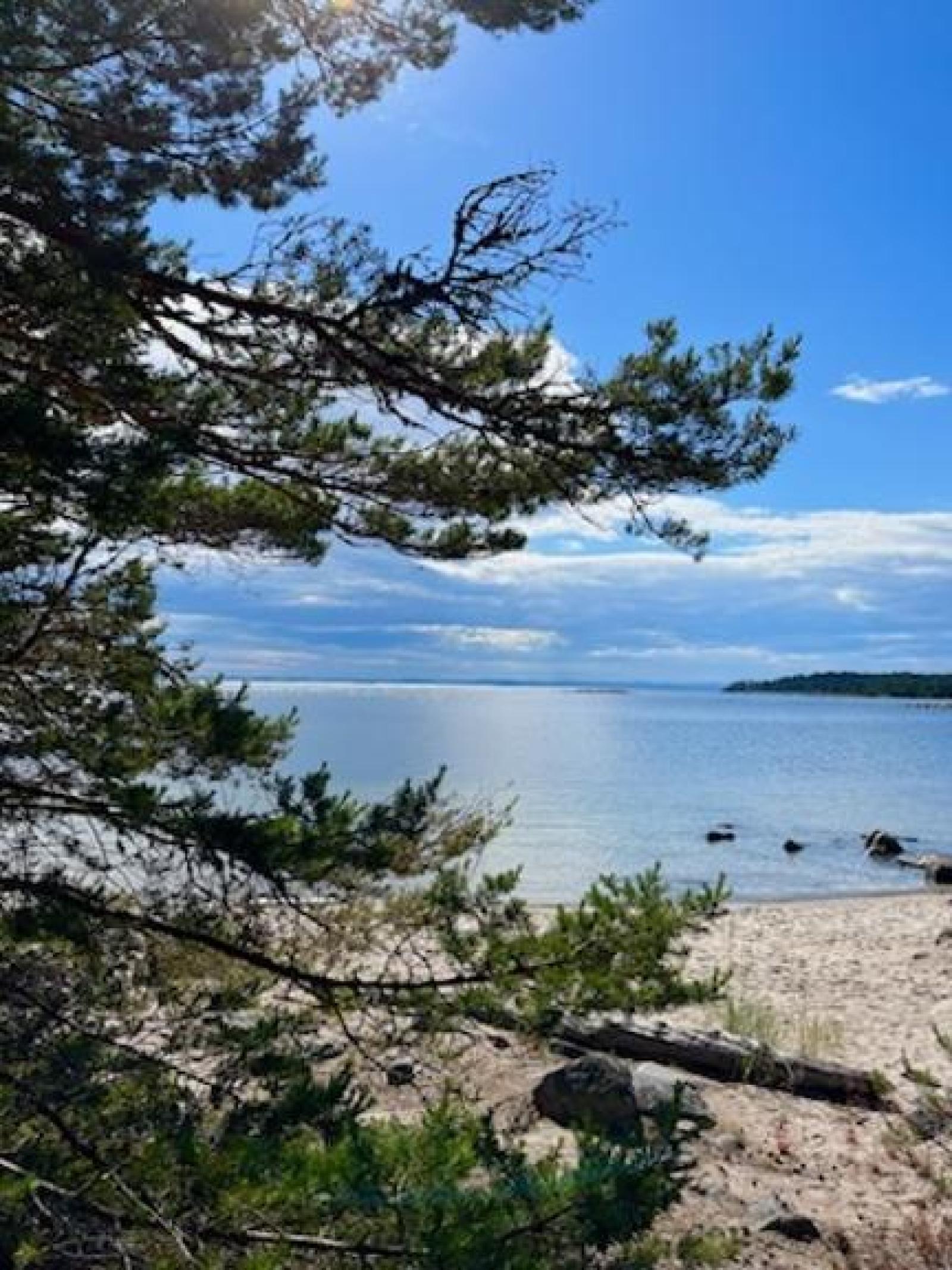 I området