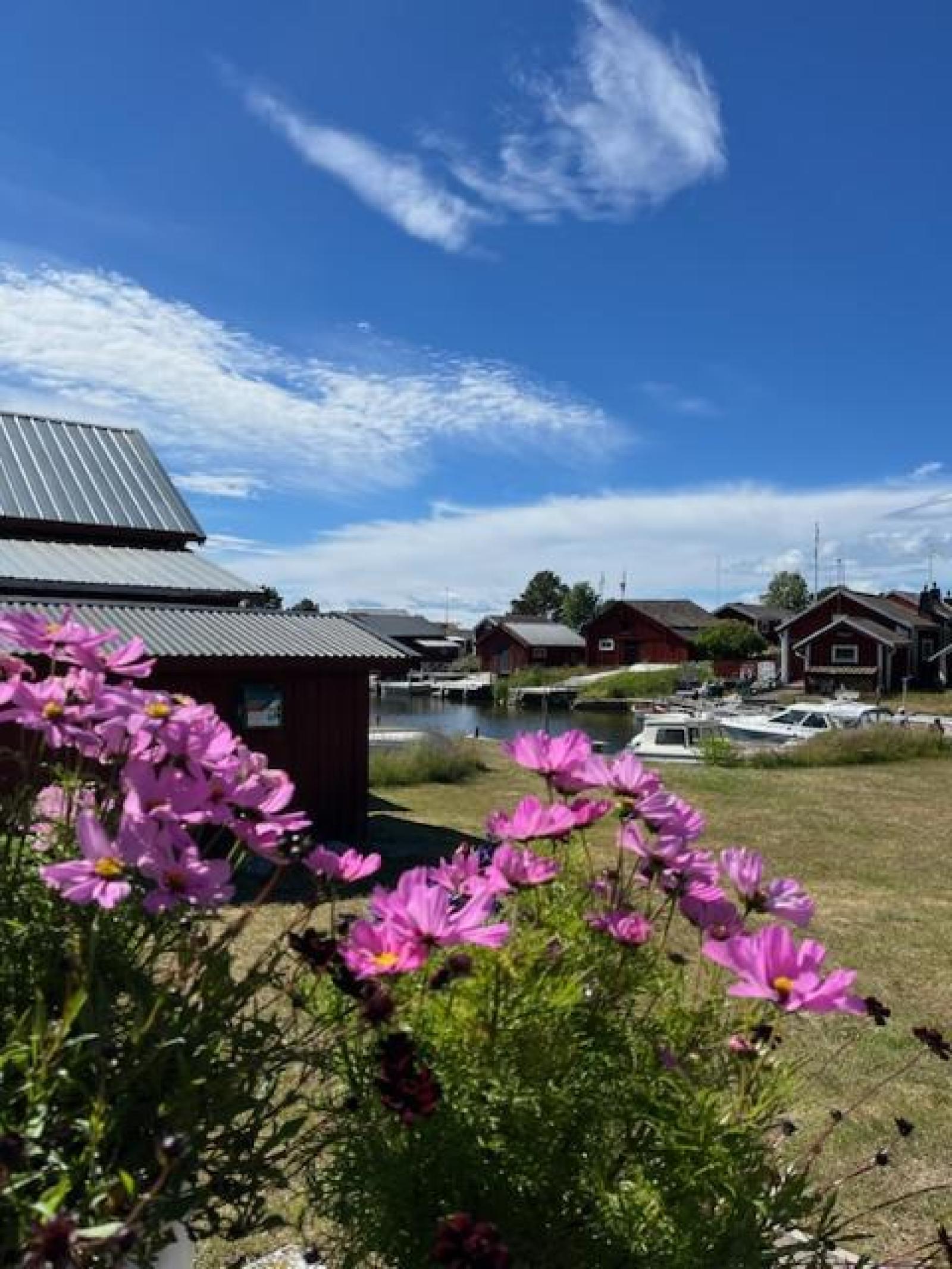 I området
