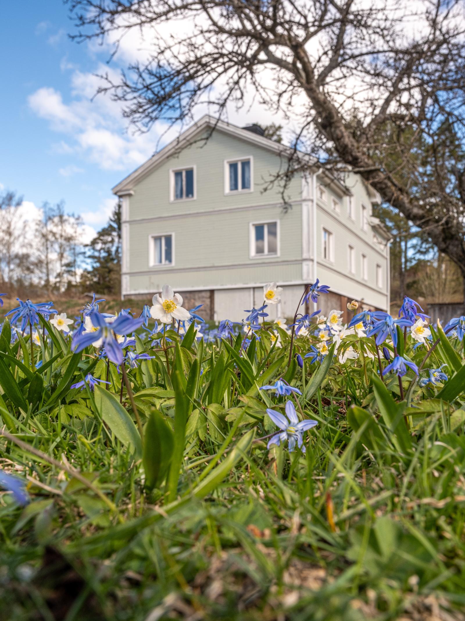Välkommen till Hällsätter