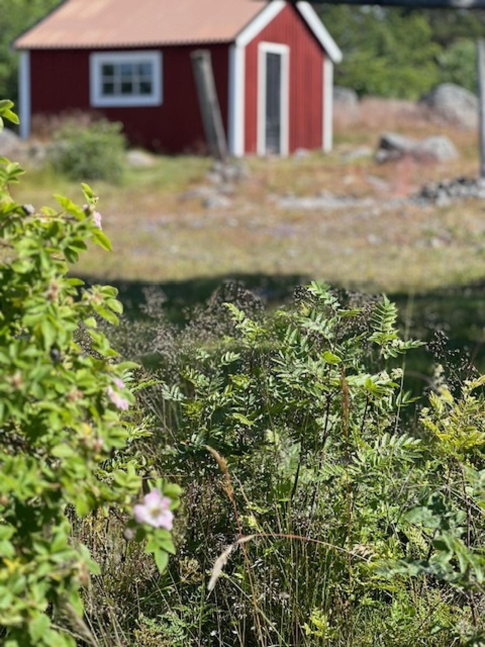 På ön