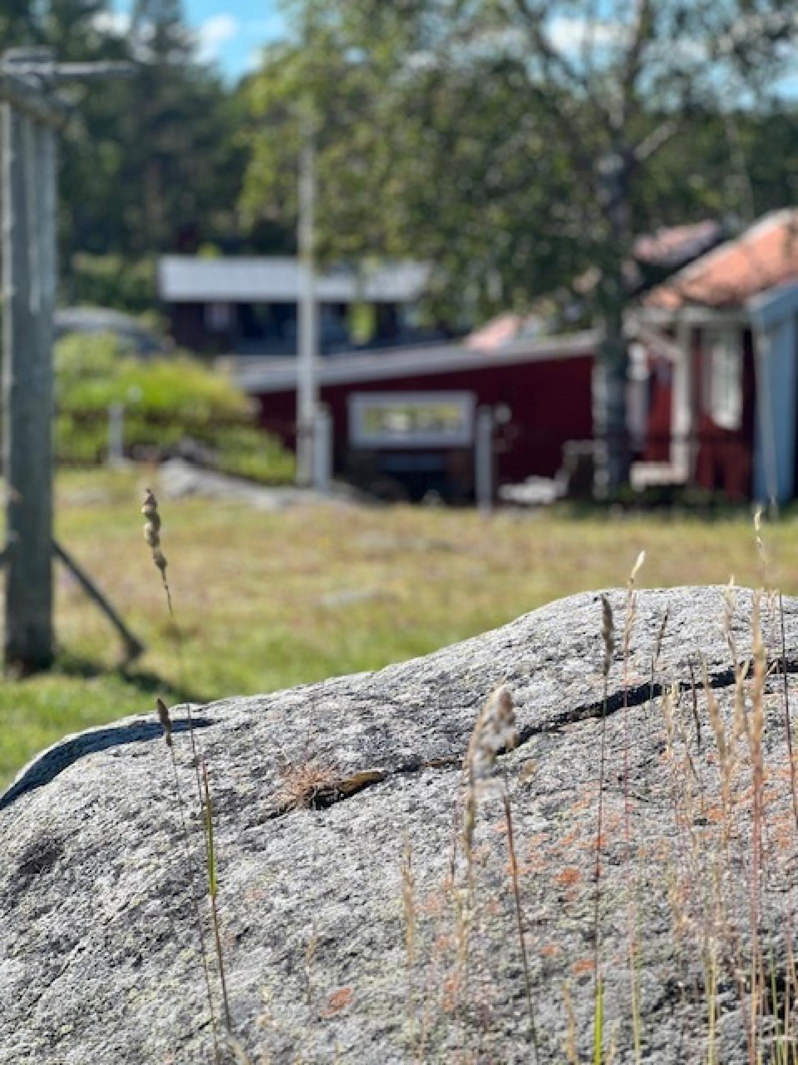 På ön