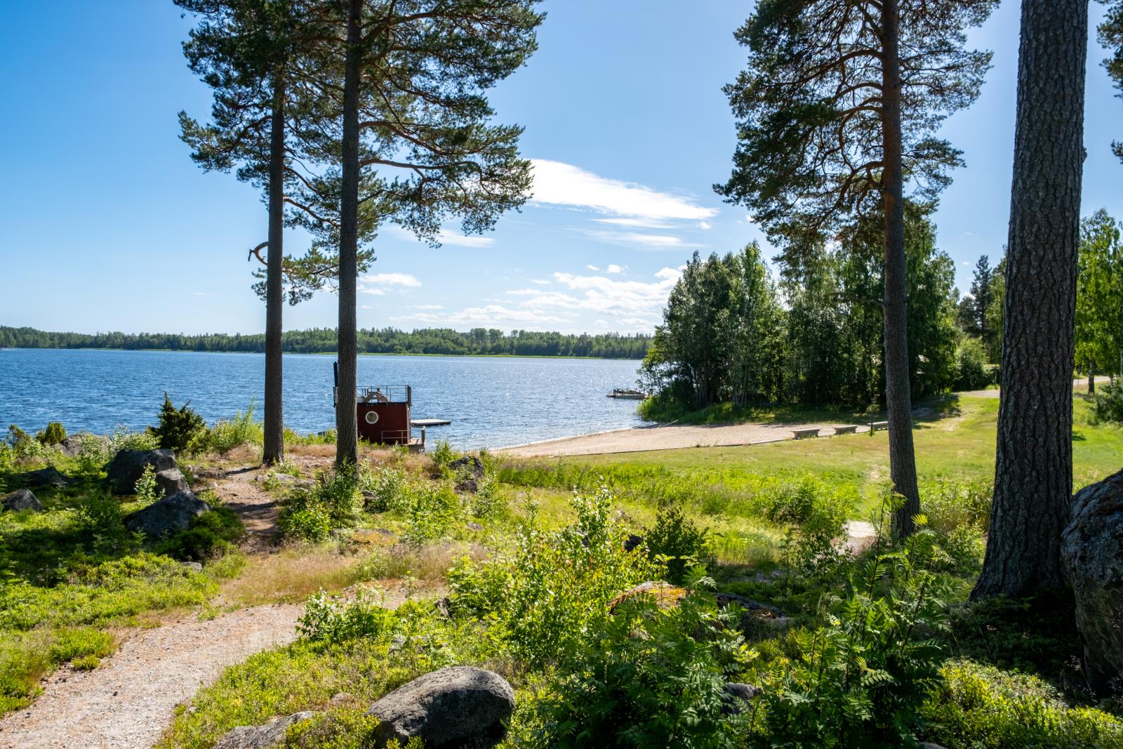 Området