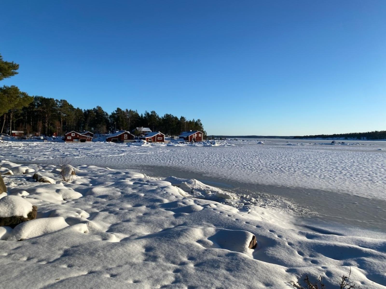 Vinter på Rönnskäret