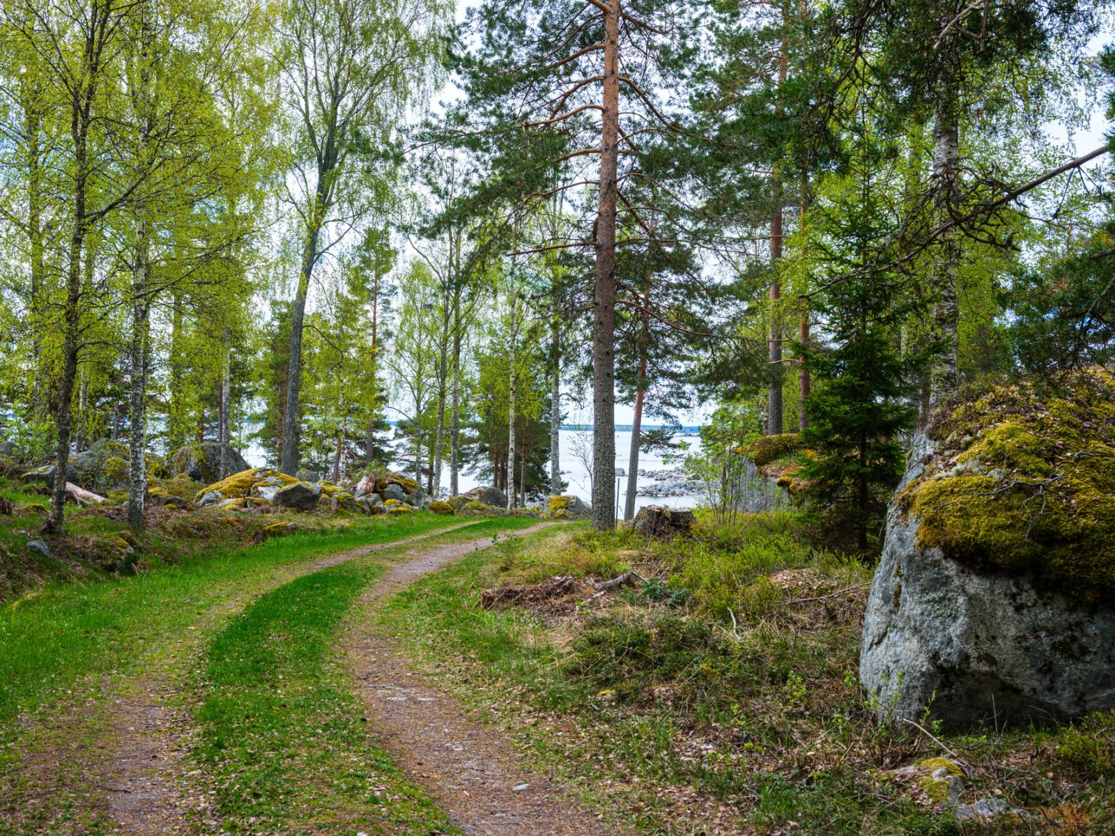 Mot Dragösviken