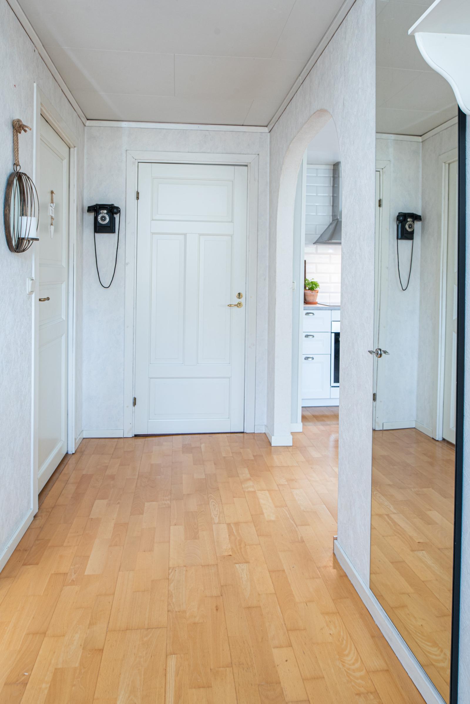 Hall/förrådsdörr