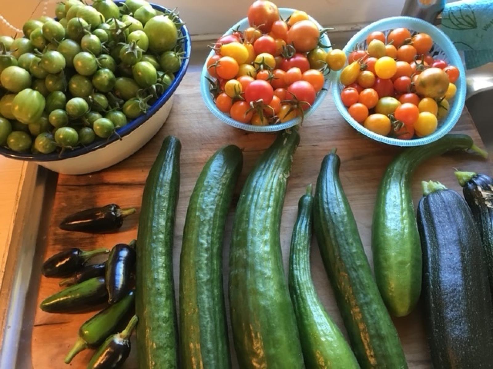 Läckerheter från växthuset