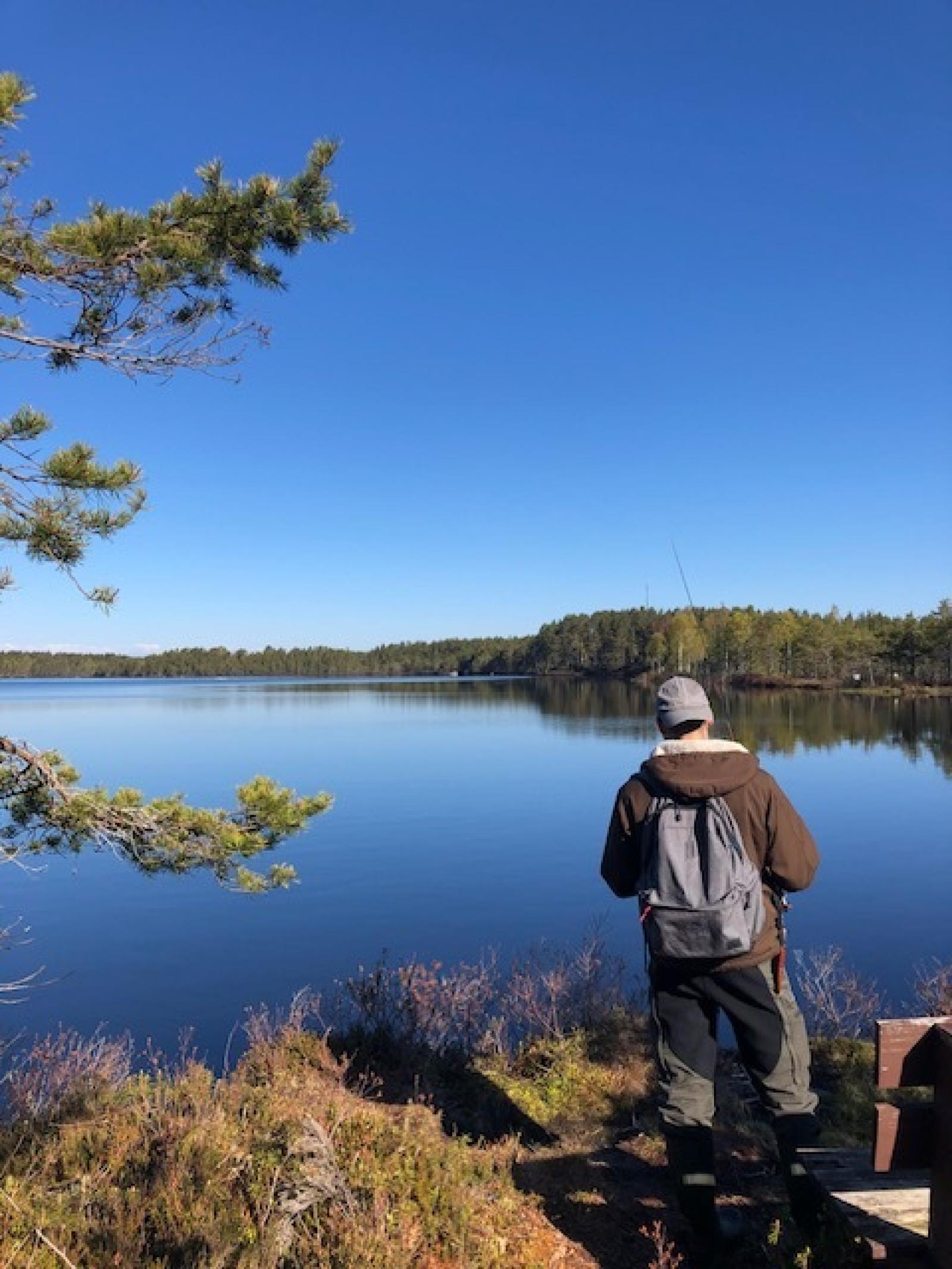 Vid Byhedssjön 