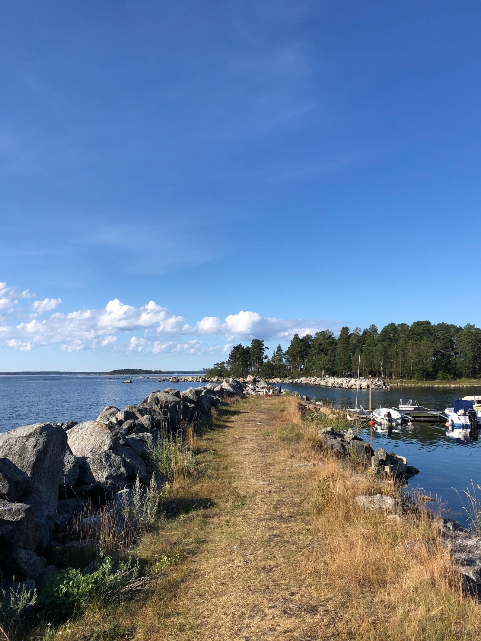 Vid Dragösviken