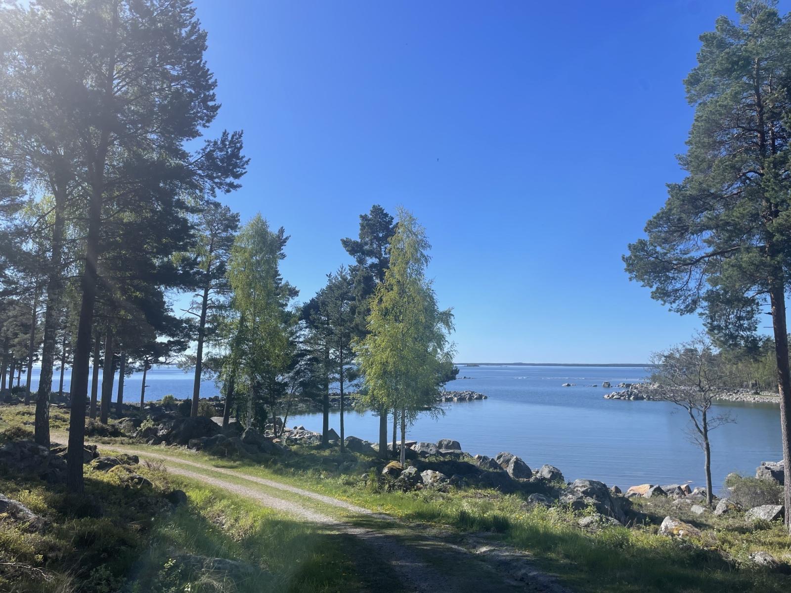 Dragösviken