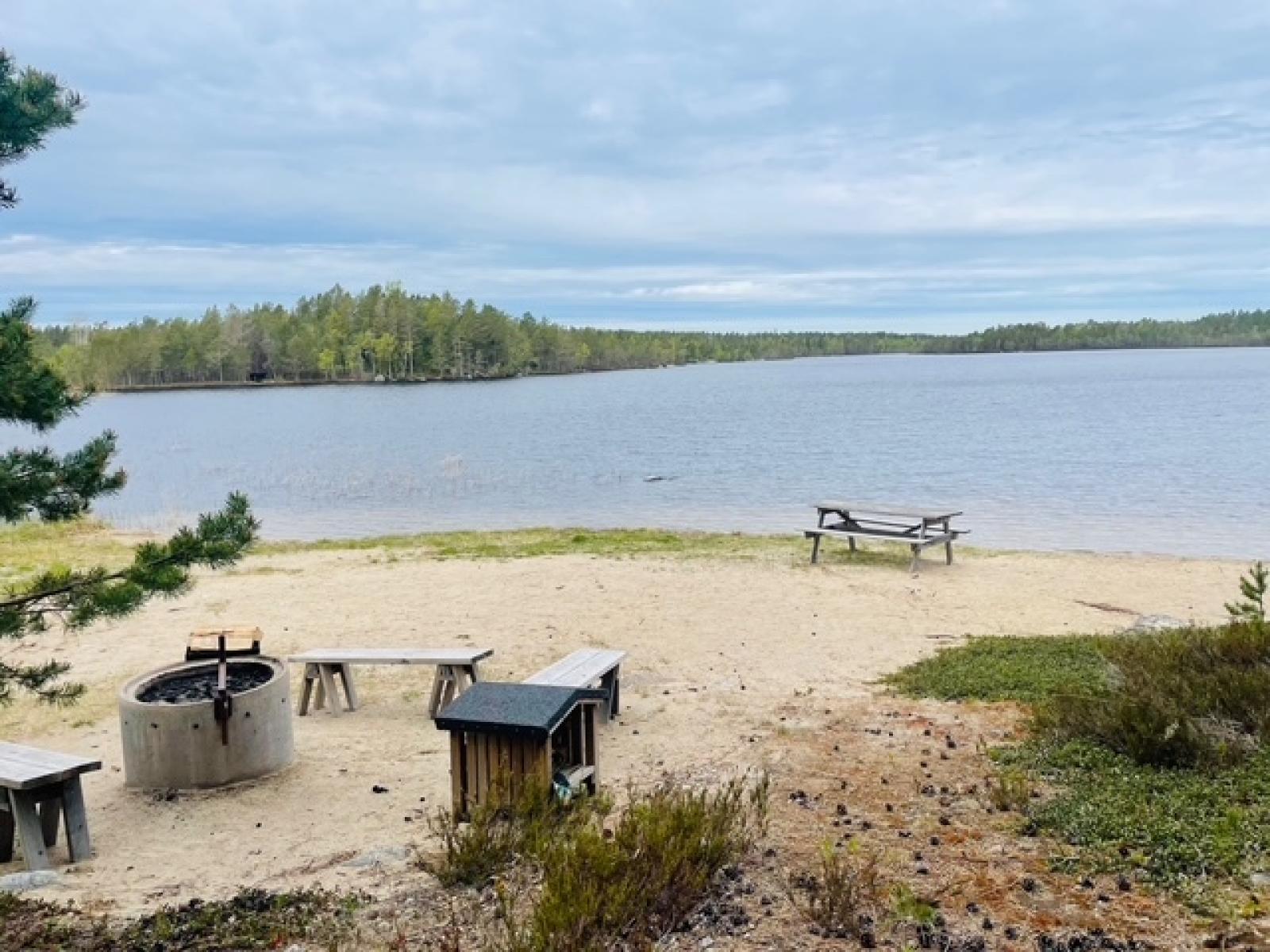 Stranden vid Byhedssjön