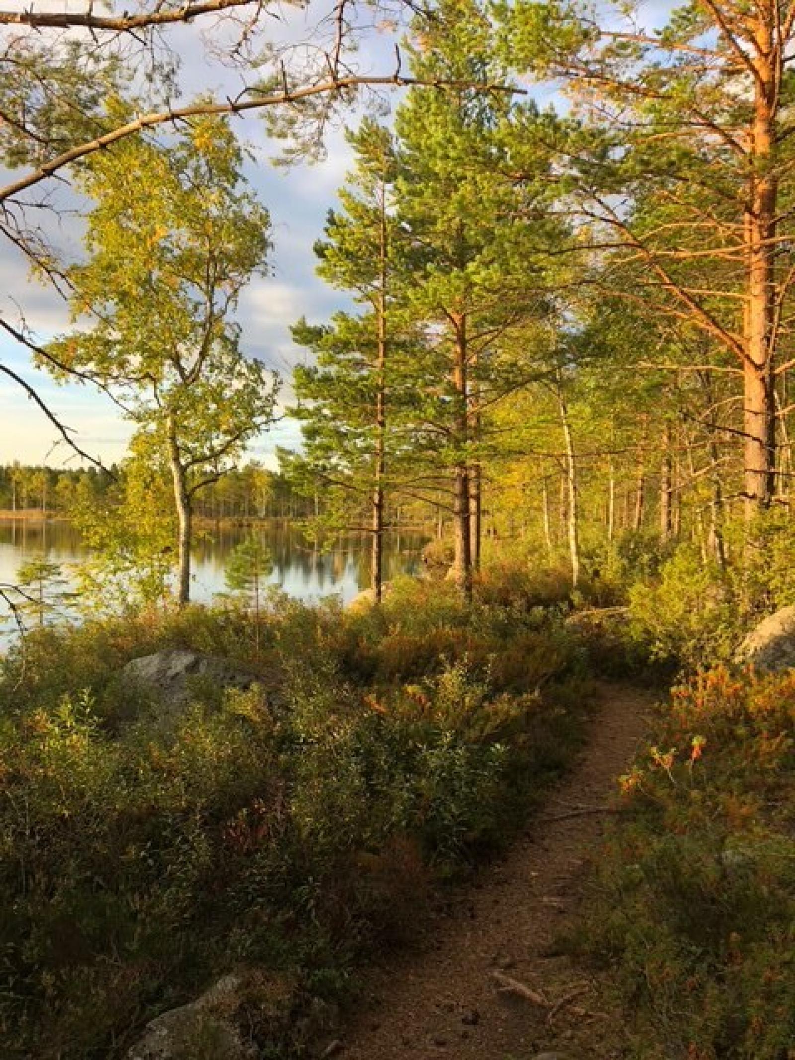 Vid Byhedssjön